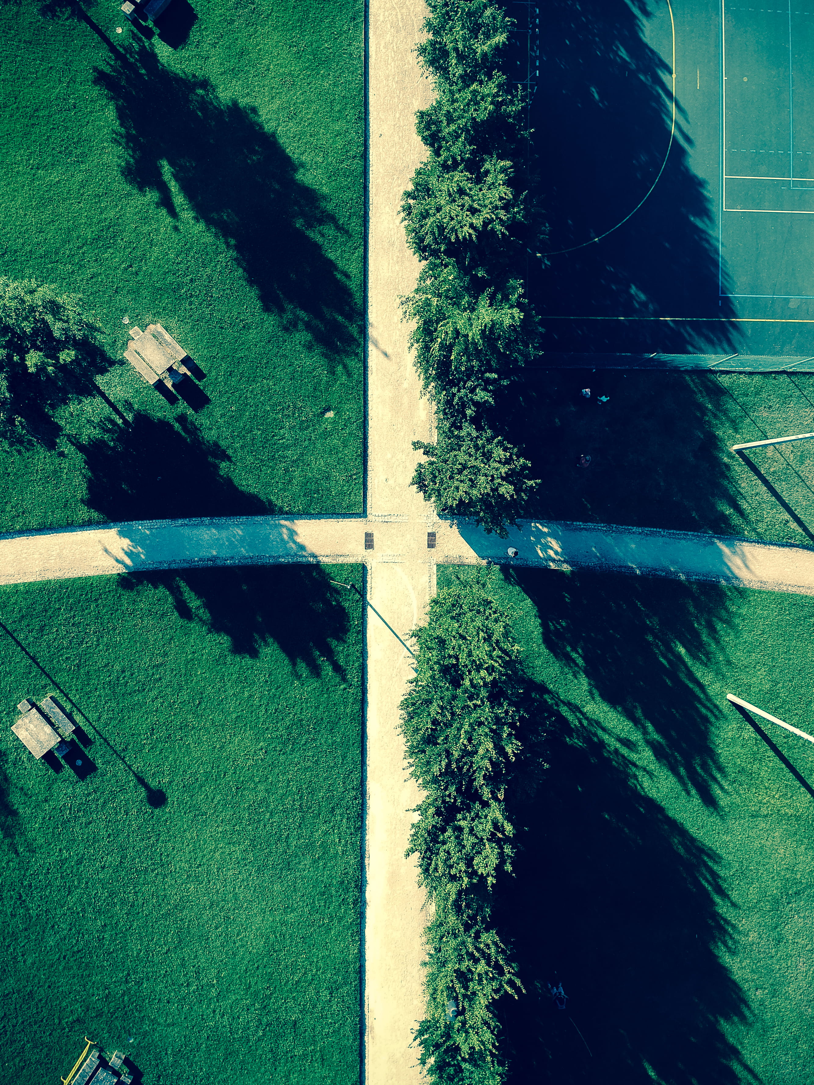 drone, sunlight, portugal, green color, drone capture, tree, nature, aerial view, scenics - nature, trees, growth, day, tranquil scene, water, swimming pool, Phone HD Wallpaper