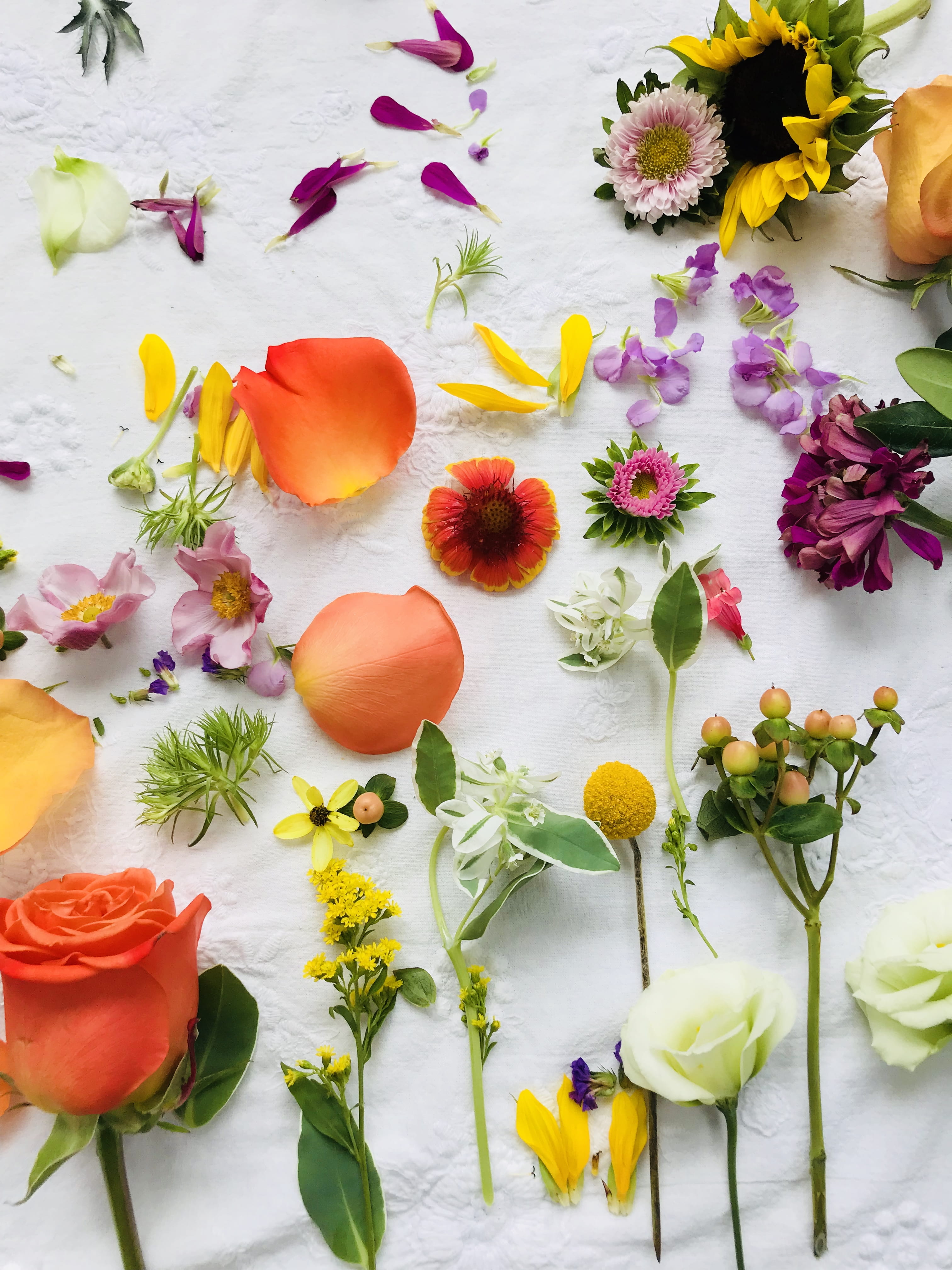 united states, assorted, flower head, 56 gaddis dr, multi colored, fort thomas, food, flowers, art, flower, rose, blossom, flowering plant, no people, petal, Phone HD Wallpaper