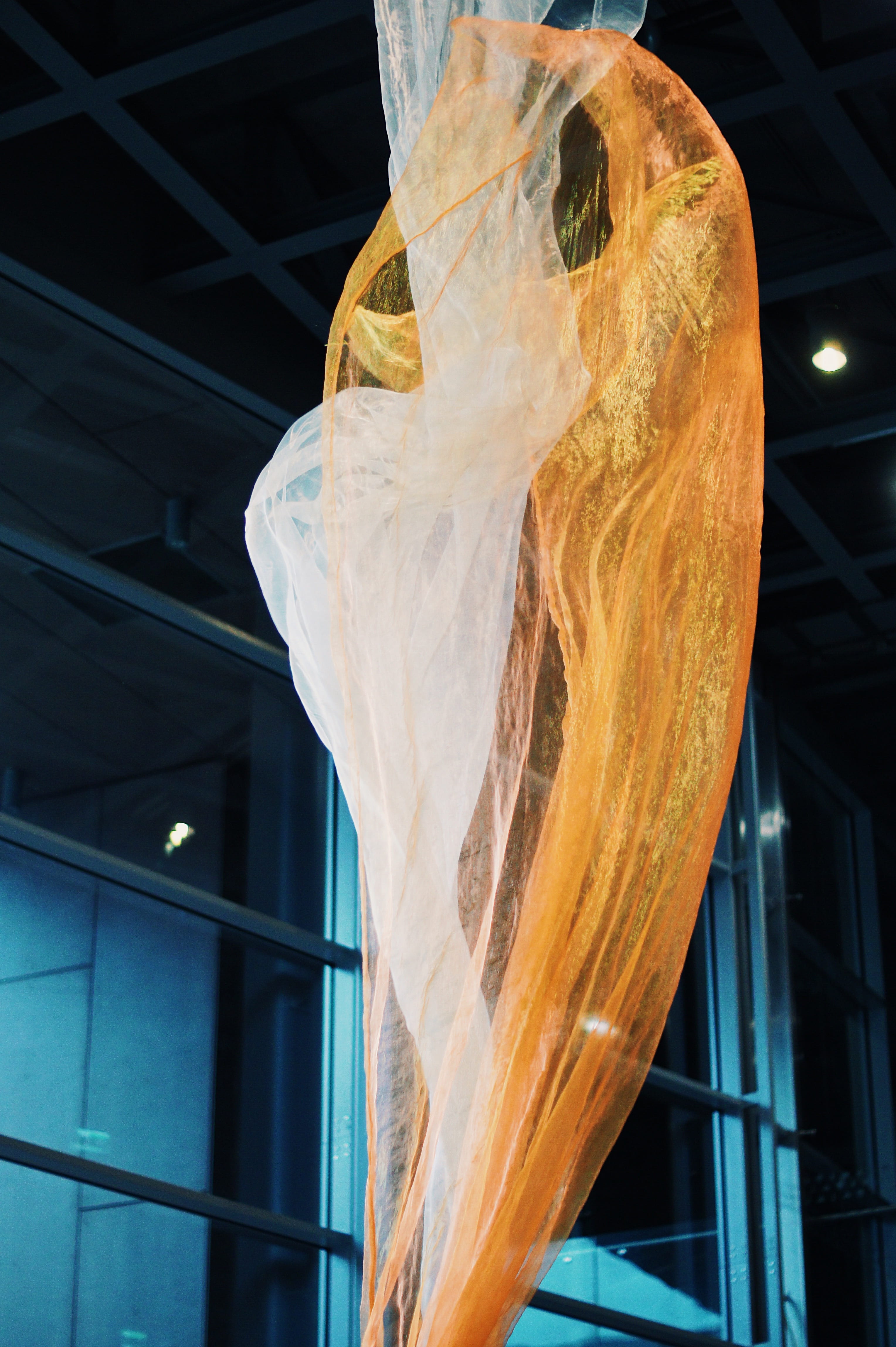 nature, photo, picture, warsaw, low angle view, plastic, clothing, ceiling, iphone, 4K, plastic bag, robe, floral, focus on foreground, orange color, Phone HD Wallpaper