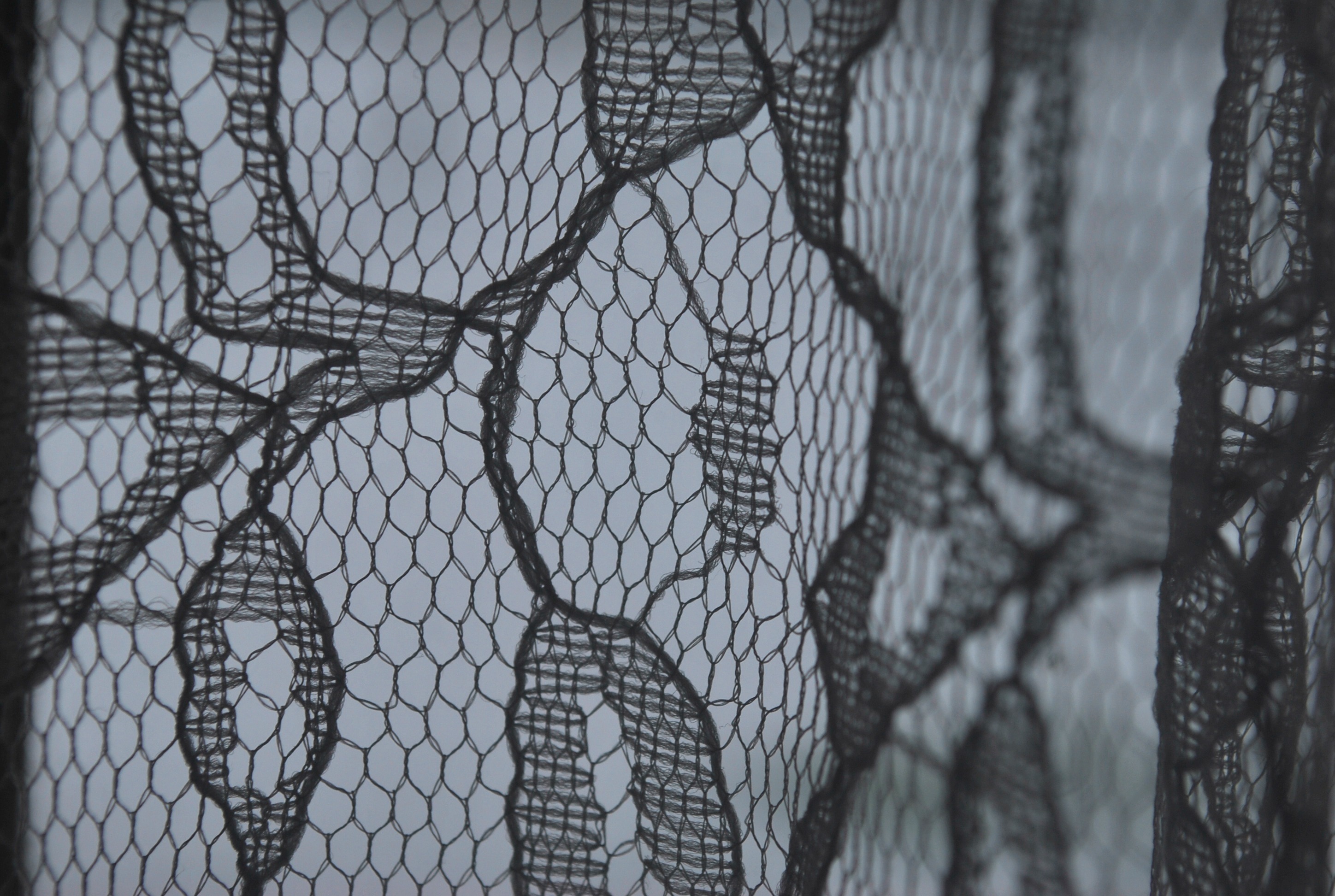 protection, day, creative, ornate, communication, boundary, ornamental, flourish, seamless, safety, close-up, netting, decorative, security, victorian, HD Wallpaper