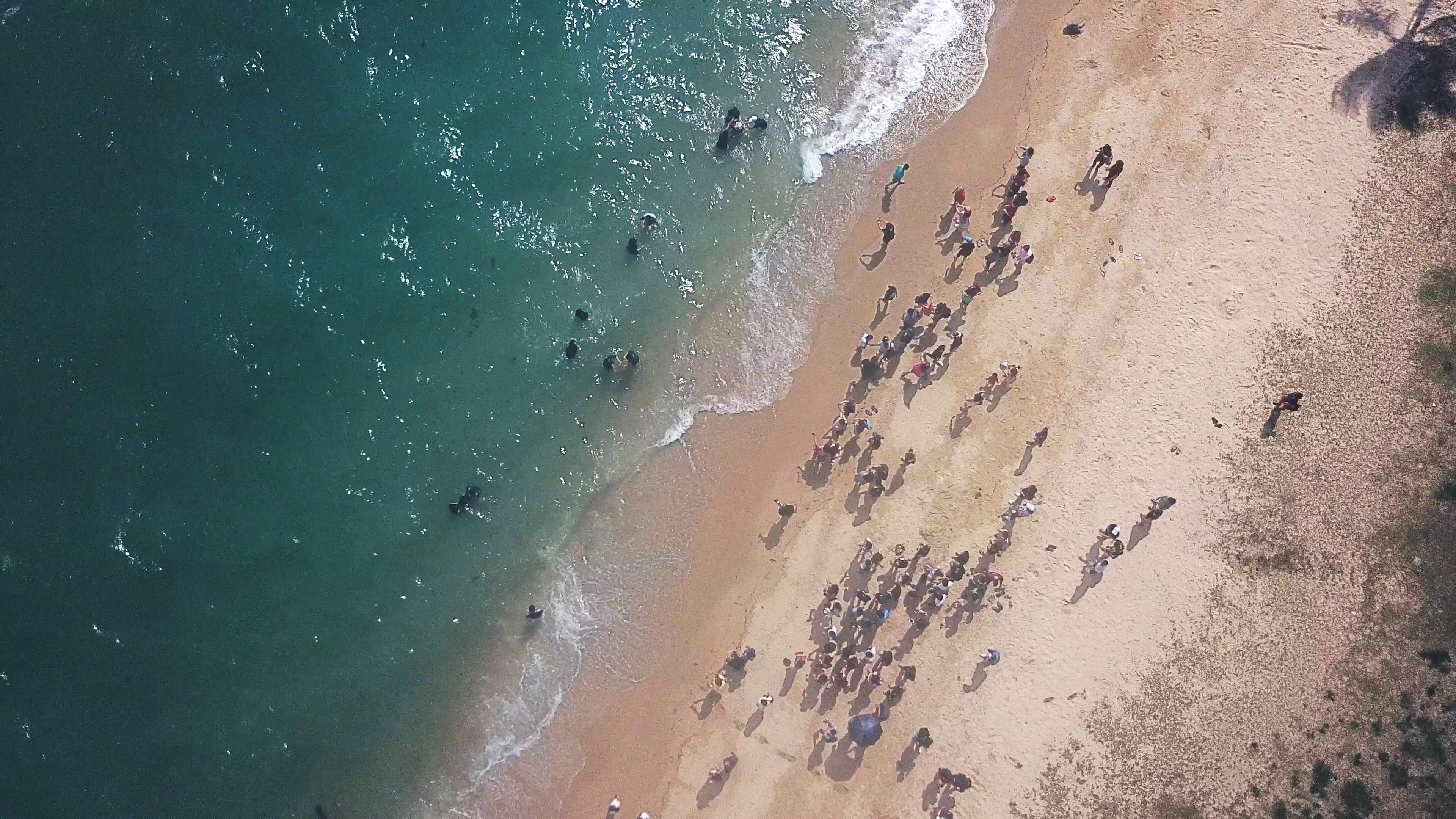 aerial, slant, people, sun, east coast park, baptism, land, motion, water, crowd, day, sand, 4K, outdoors, sport, scenic, division, hobby, waves, HD Wallpaper