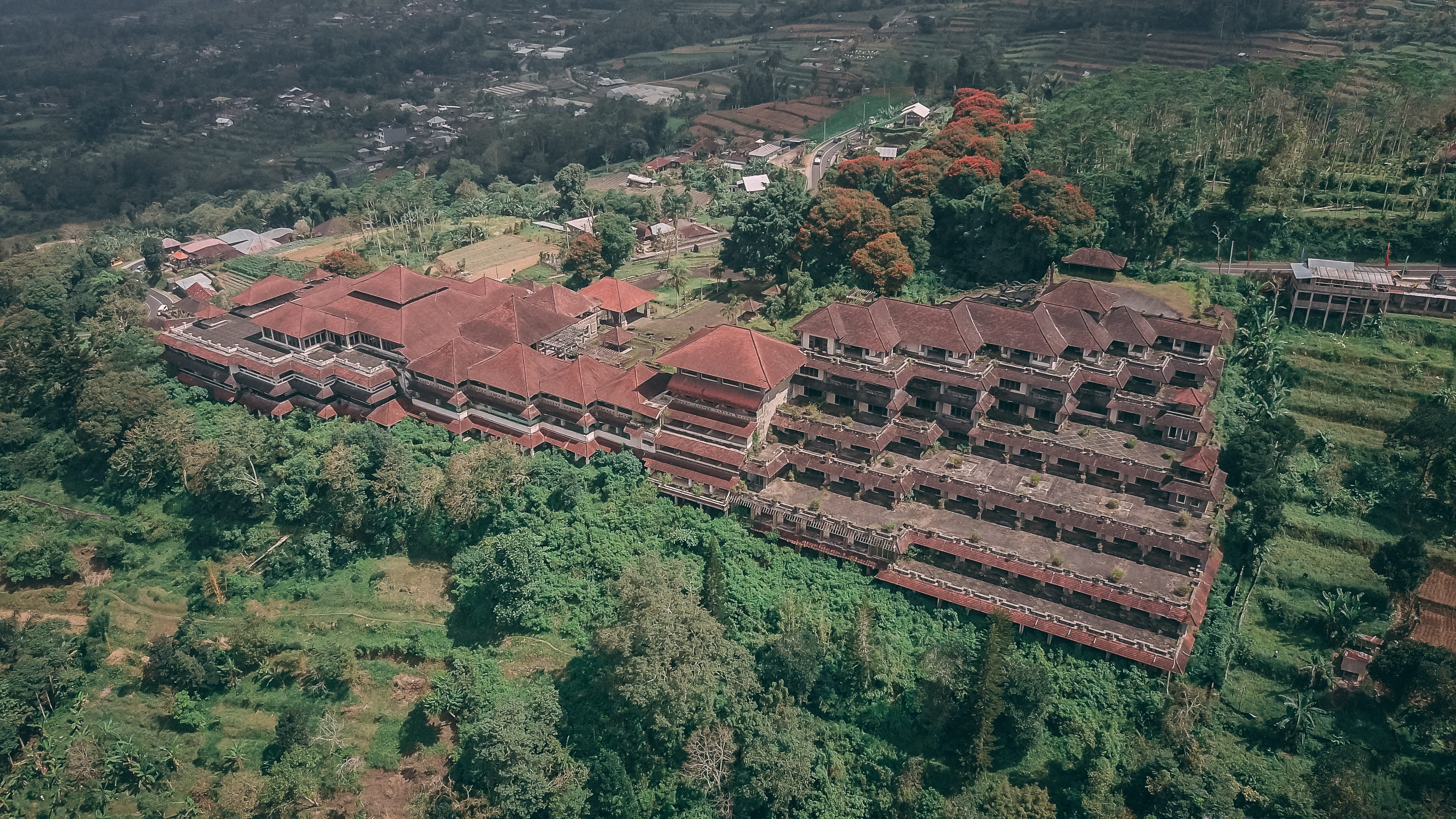 field, indonesia, environment, day, agriculture, drone, tranquil scene, landscape, tranquility, plantation, adventure, rural scene, mavicpro, land, nature, HD Wallpaper