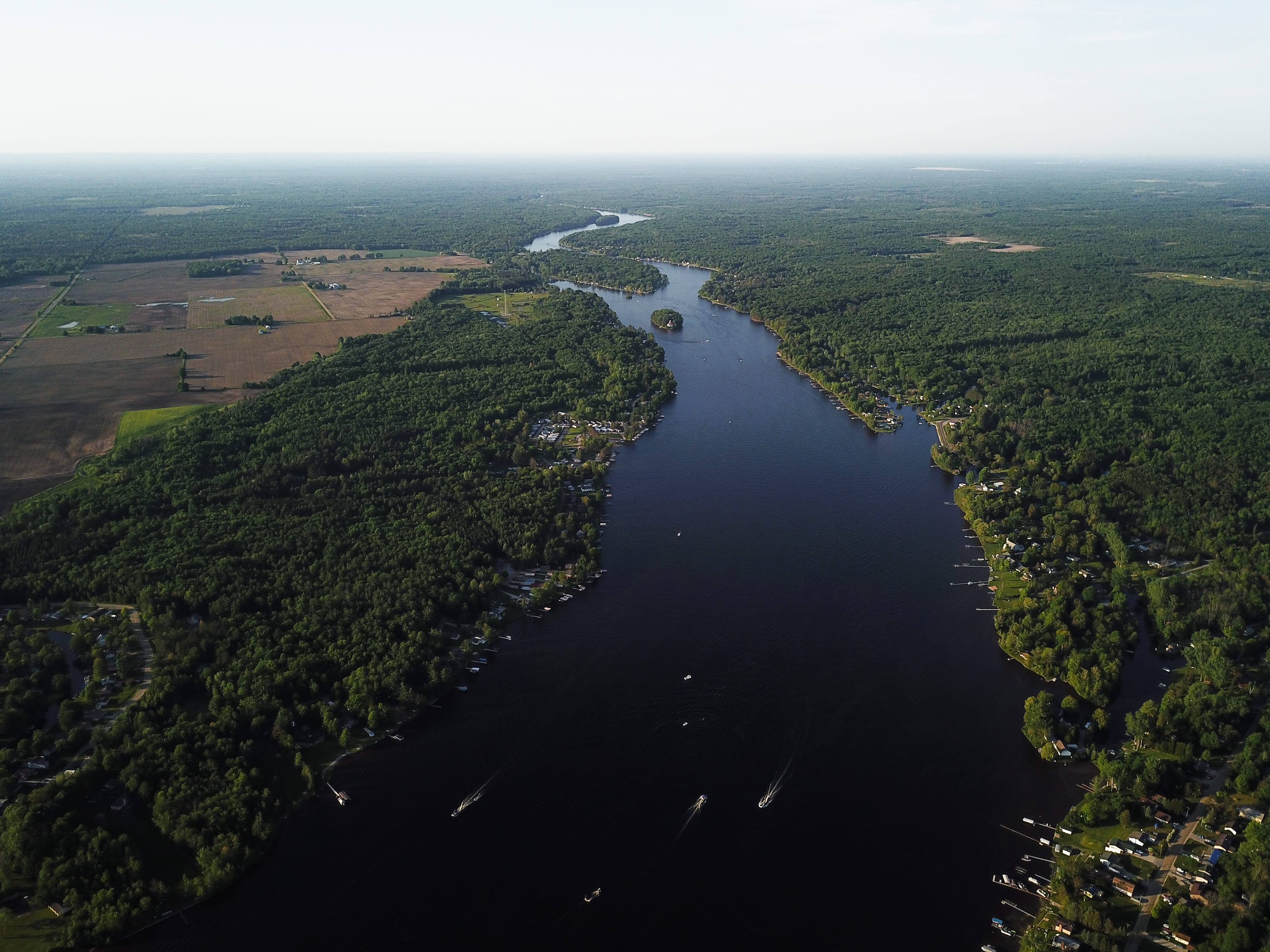 high angle view, outdoors, growth, land, united states, upnorth, nature, tree, dji, sky, wixom lake, puremichigan, tranquility, mavicpro, beauty in nature, HD Wallpaper