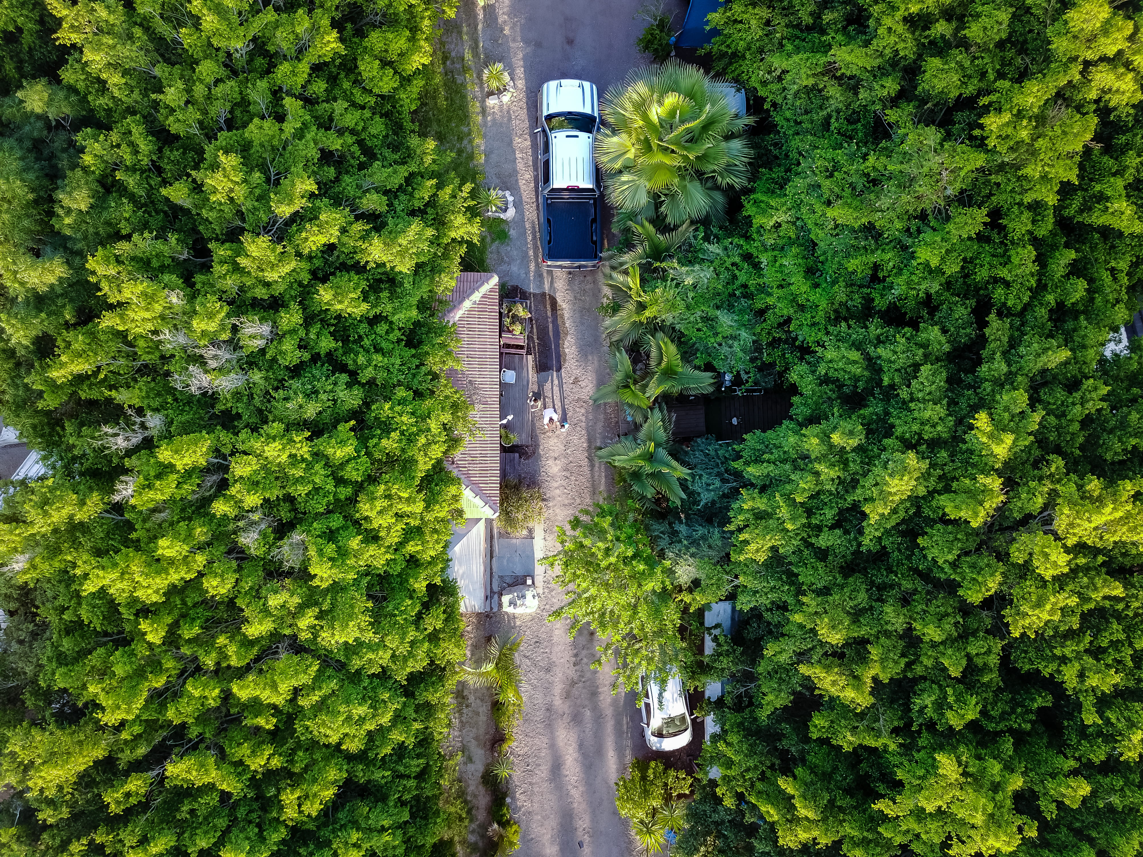 yashresh, mavicpro, city, day, truck, transportation, houseinthewoods, 4K, high angle view, built structure, tree, growth, architecture, outdoors, drone, HD Wallpaper