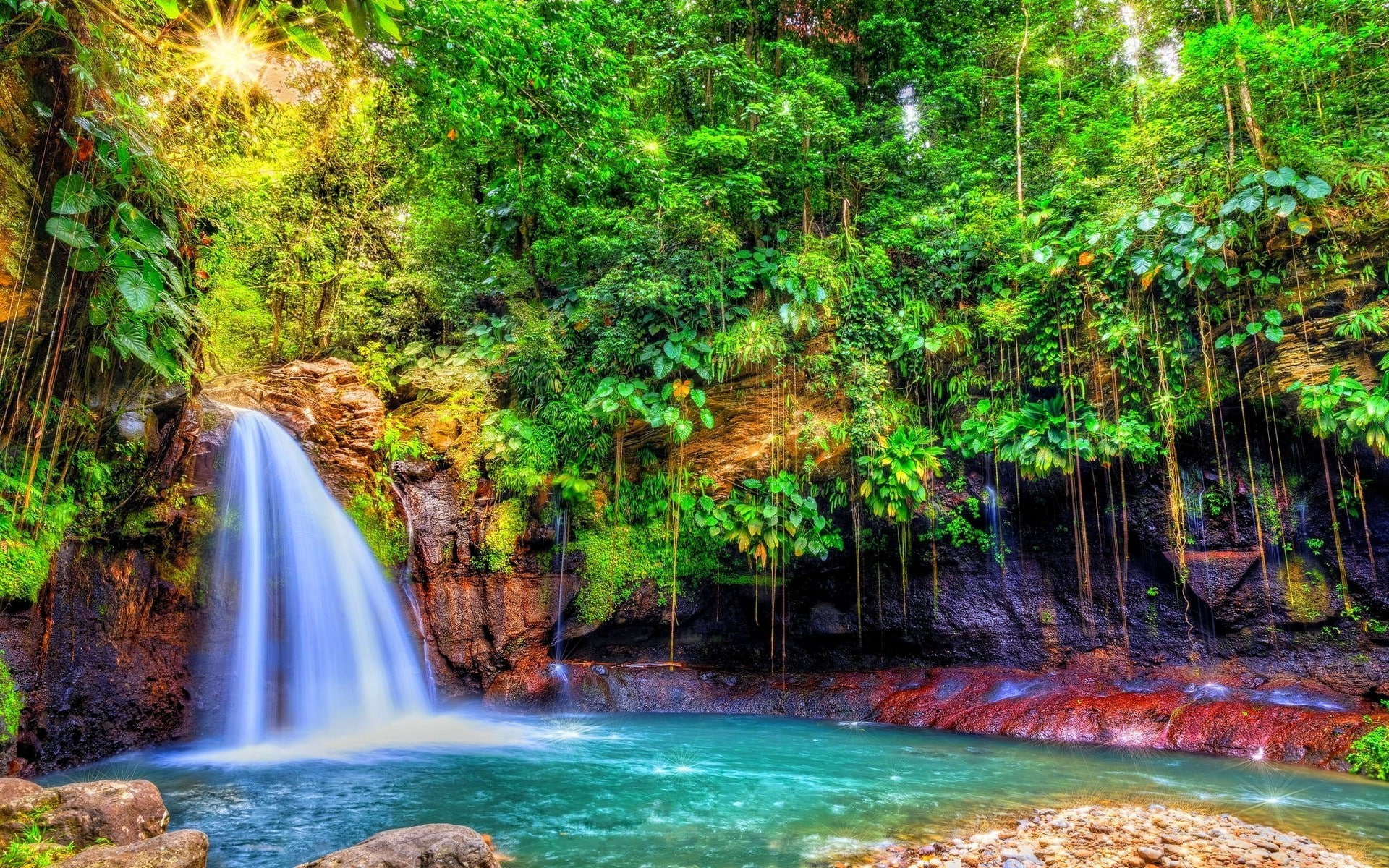 forest, scenics - nature, plant, 1080P, tree, long exposure, nature landscape waterfall forest sun rays shrubs colorful trees tropical guadeloupe island caribbean, HD Wallpaper