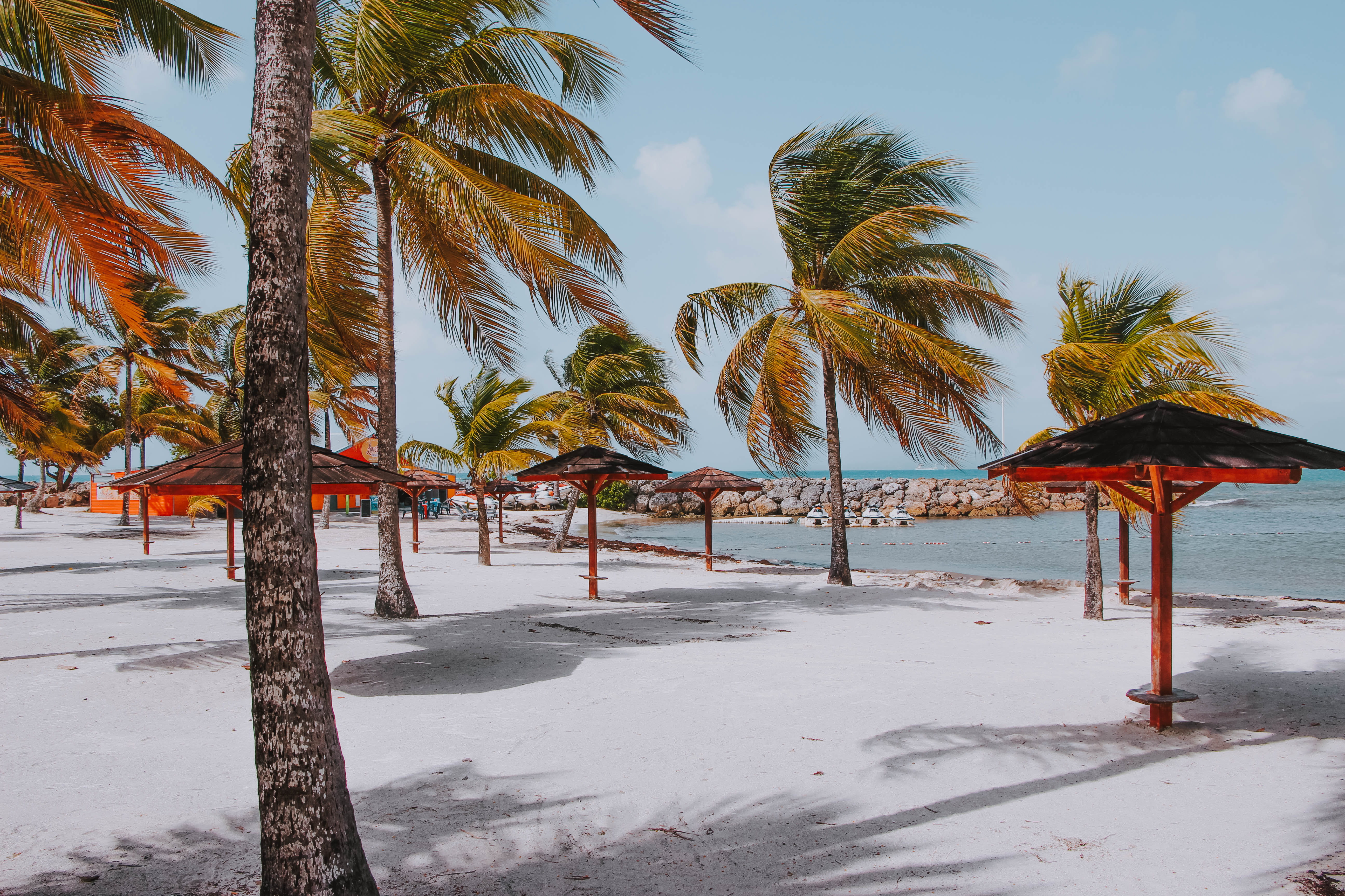 island, leaf, scenics - nature, animal, tranquility, tree, beach, machine, exotic, trunk, snow, tropical climate, outdoors, sea, water, bird, winter, 5K, HD Wallpaper
