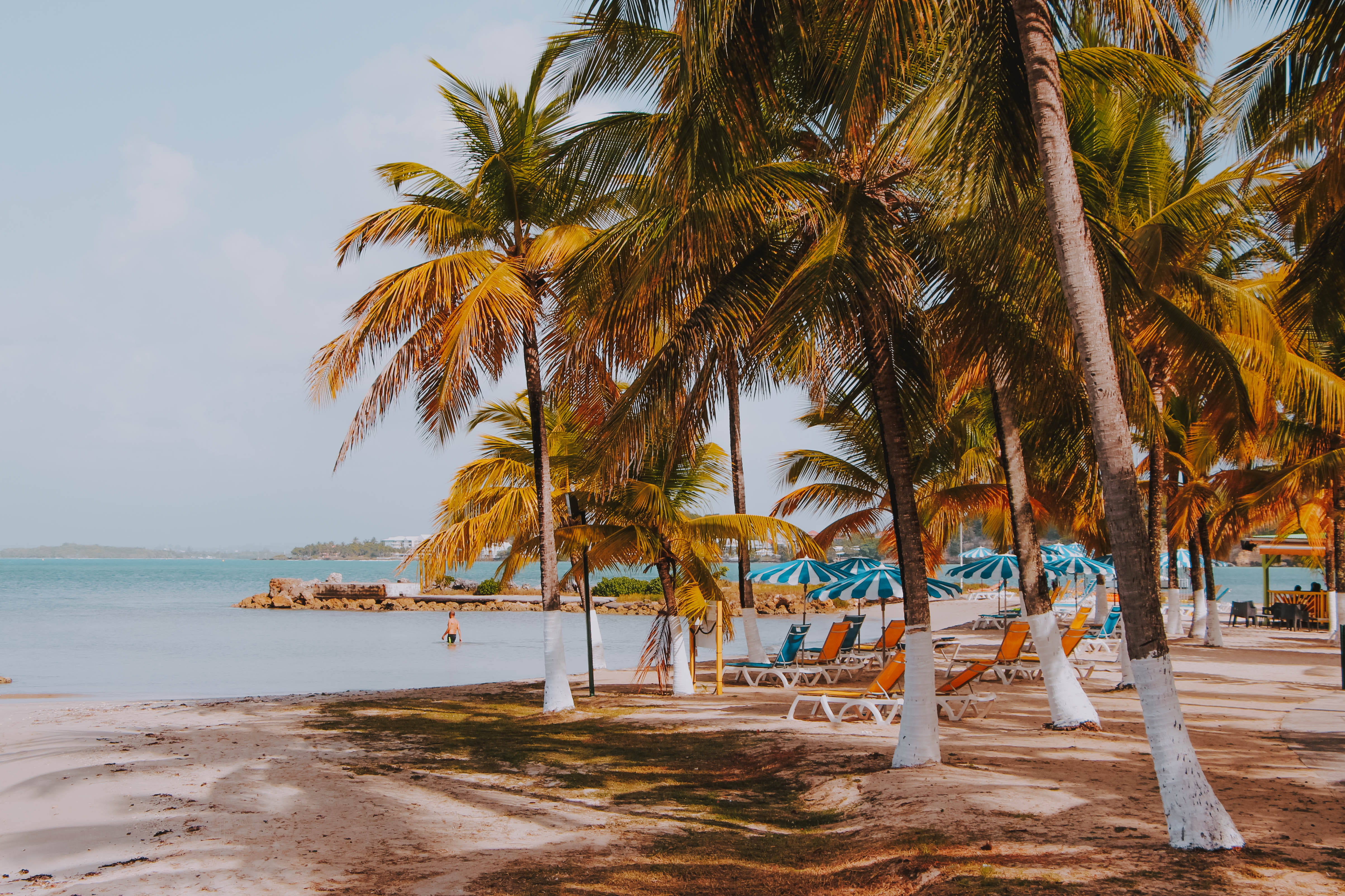 growth, outdoors, coconut palm tree, water, palm tree, travel, horizon, painting, art, exotic, 4K, plant, sky, tree, person, beach, island, sea, arecaceae, HD Wallpaper