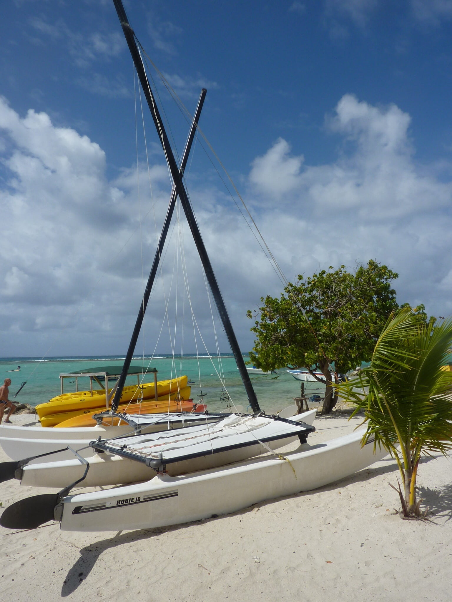 guadeloupe, browse, no people, nautical vessel, 1080P, mode of transportation, scenics - nature, day, sky, sailboat, sun, beauty in nature, beach, tree, Phone HD Wallpaper