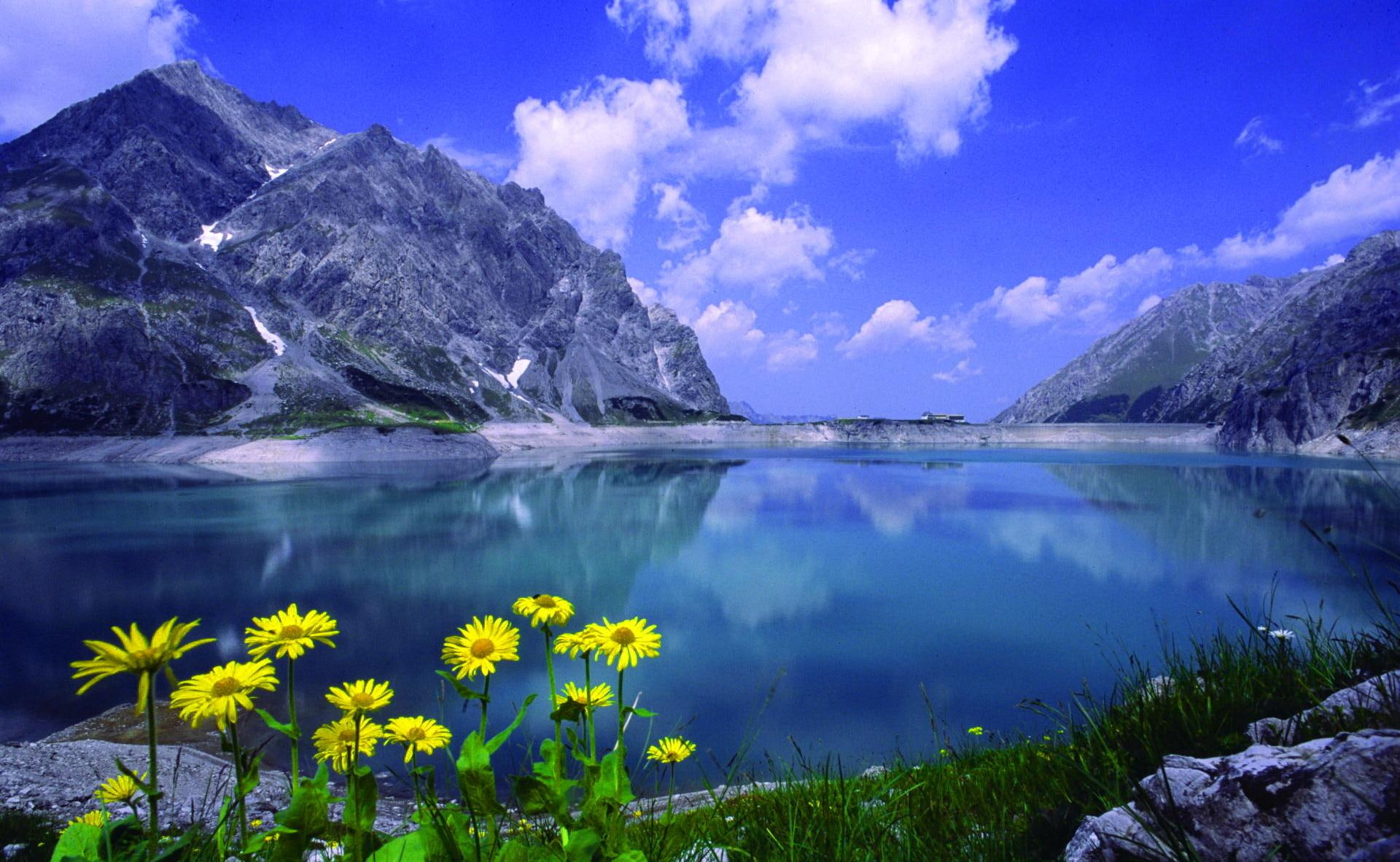 calmness, rocks, clear, shore, nature, peaks, 1080P, mirrored, serenity, lake, tranquil, blue, crystal, flowers, HD Wallpaper