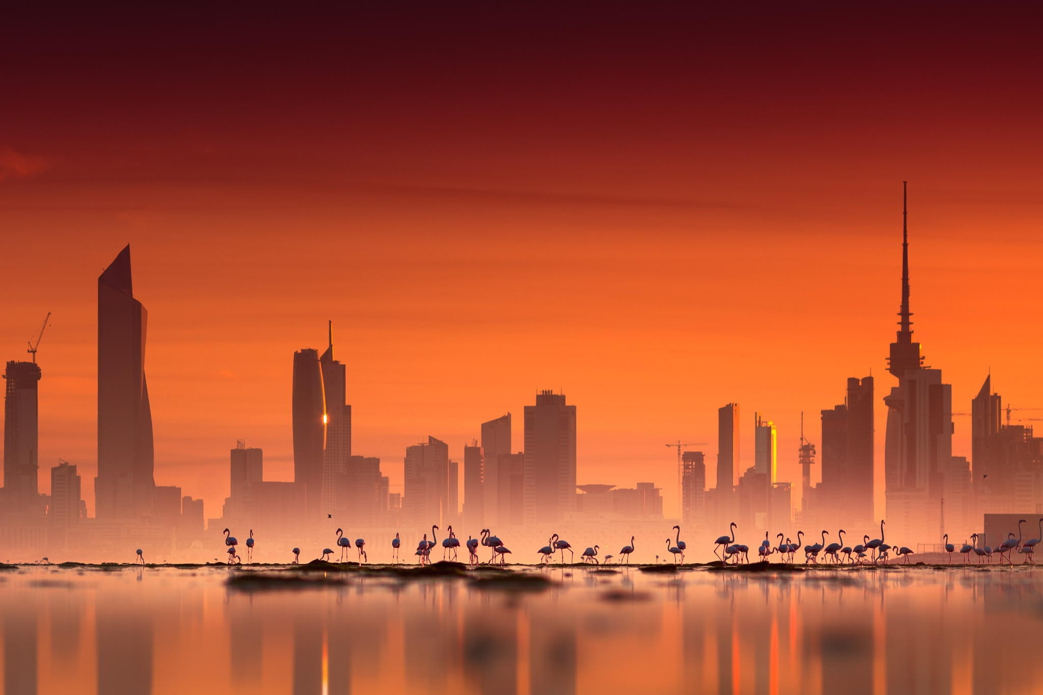 skyscraper, spire, travel destinations, sunset, urban skyline, sky, flamingos, tower, urban, water, office building exterior, financial district, no people, HD Wallpaper