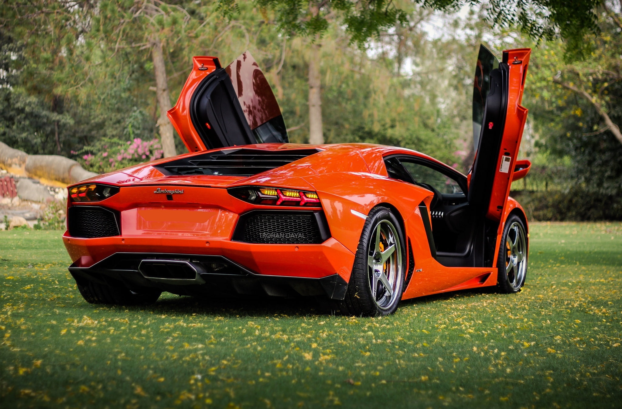 toy, luxury, guillotine, outdoors, racecar, plant, transportation, aventador, back, car, wheel, sports, mode of transportation, doors, competition, green color, HD Wallpaper