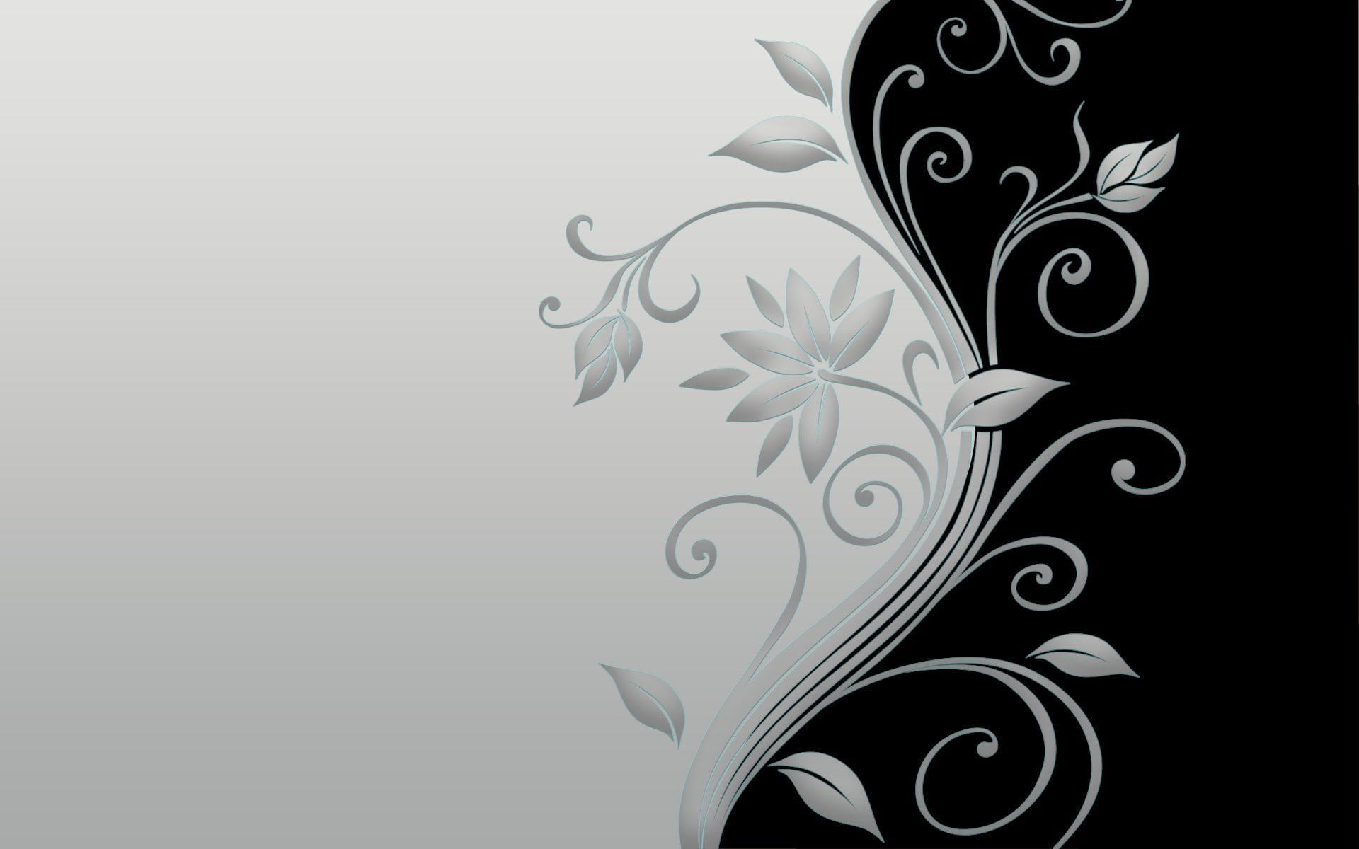 abstract, curled Up, plant part, shape, minimal, decor, scroll Shape, pattern, design, drawing - art product, creativity, black Color, 1080P, HD Wallpaper