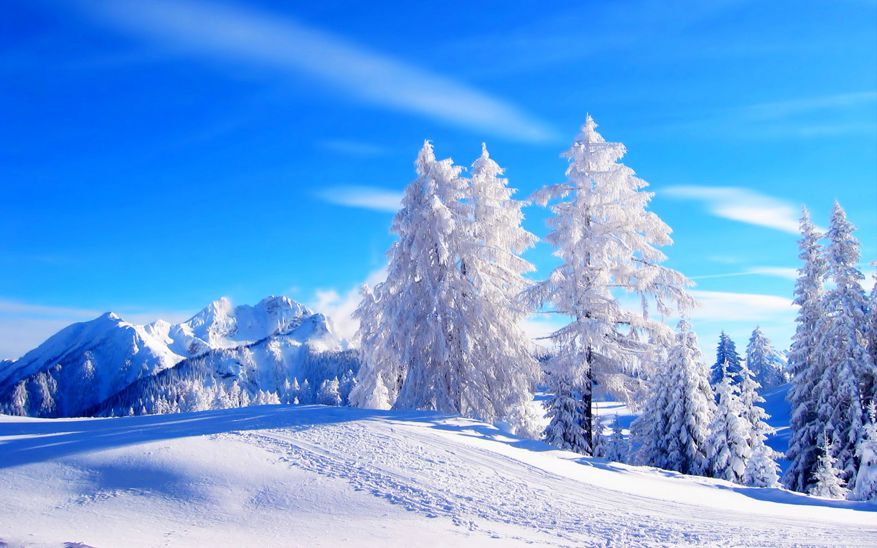 sky, mountains, PATH, beautiful, forest, Nature, snow, nice, cool, winter, trees, Sunset, 2K, road, white, HD Wallpaper