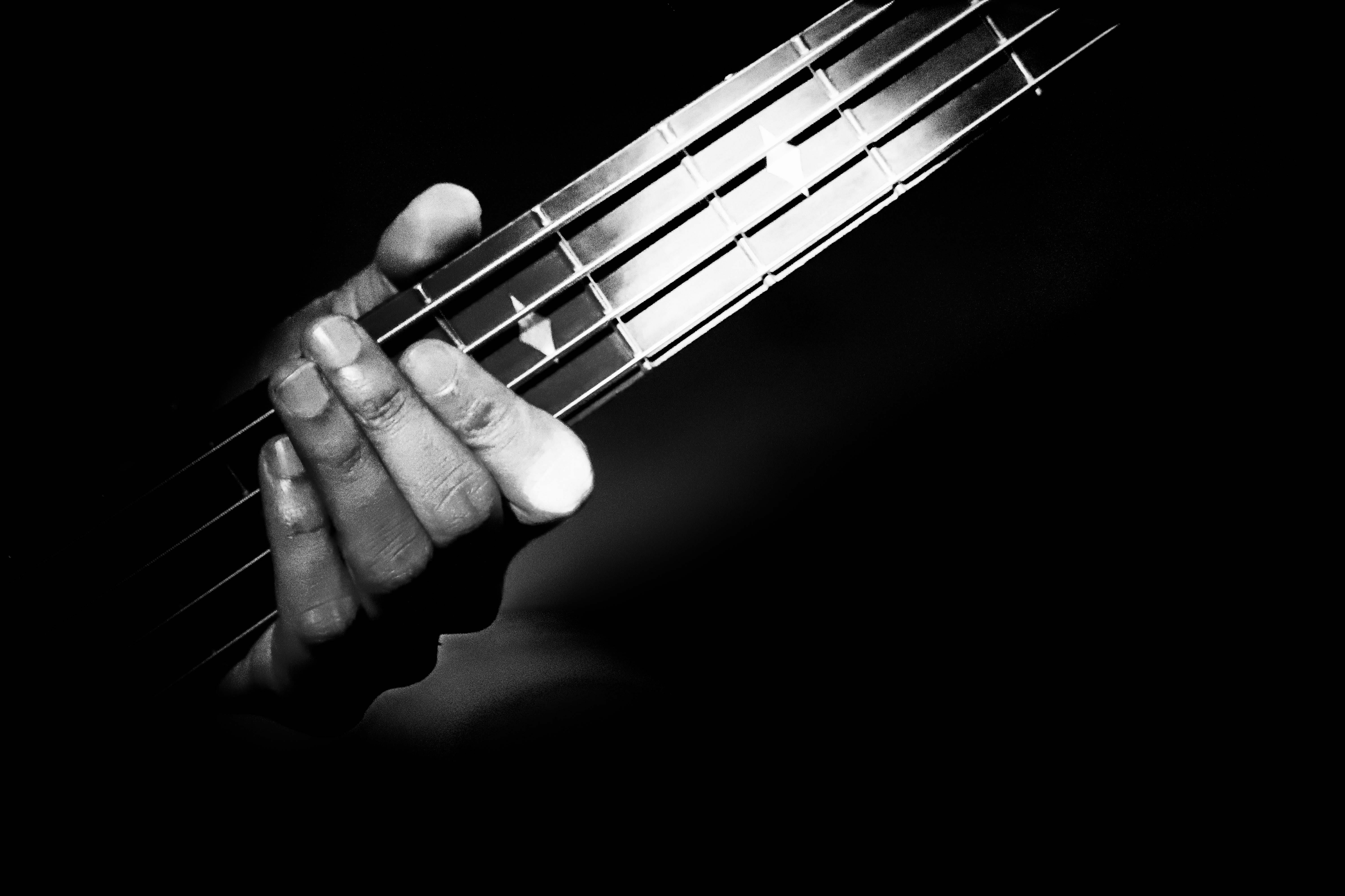 hand, one person, musical, indoors, white, fret, cape town, bass, string, band, human body part, human finger, black background, HD Wallpaper