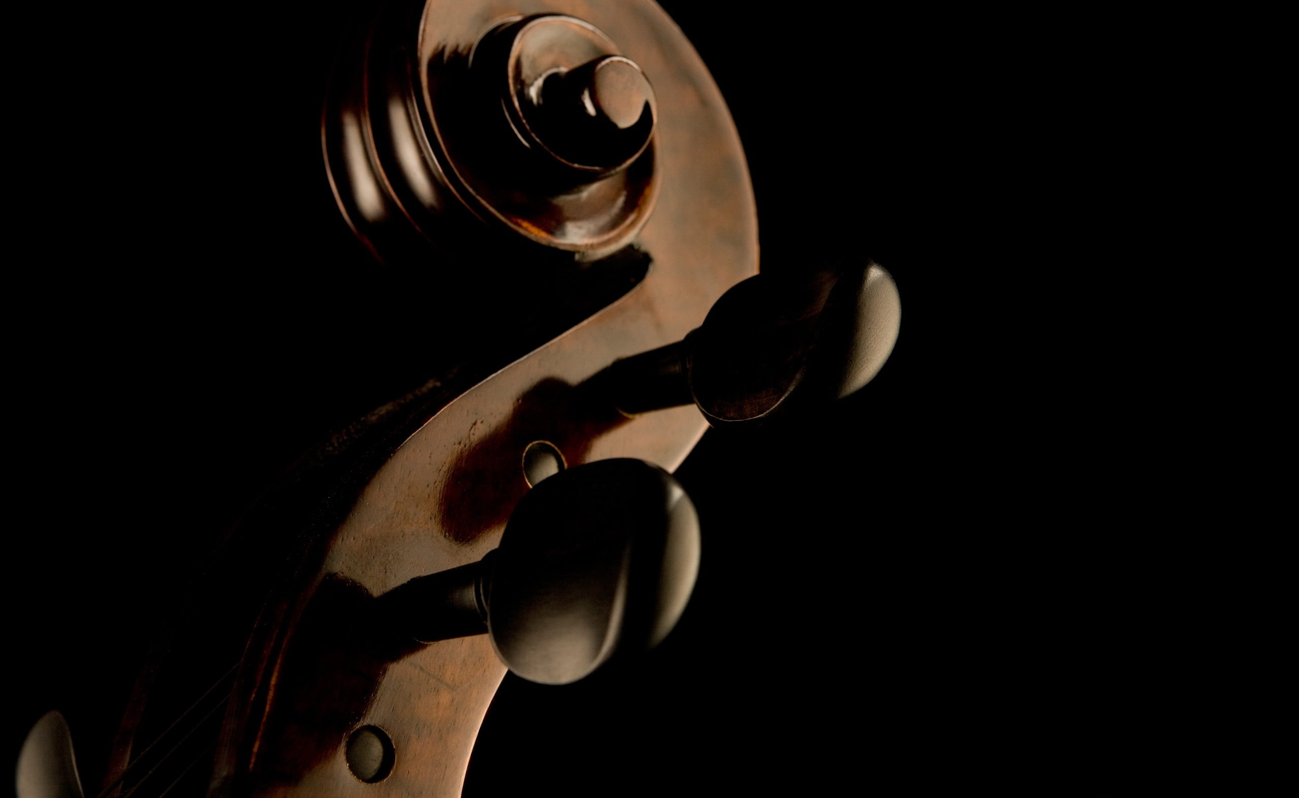 wood - material, Scroll, violin, Bass, still life, Double, musical equipment, bottle, copy space, musical instrument, brown, studio shot, black background, HD Wallpaper