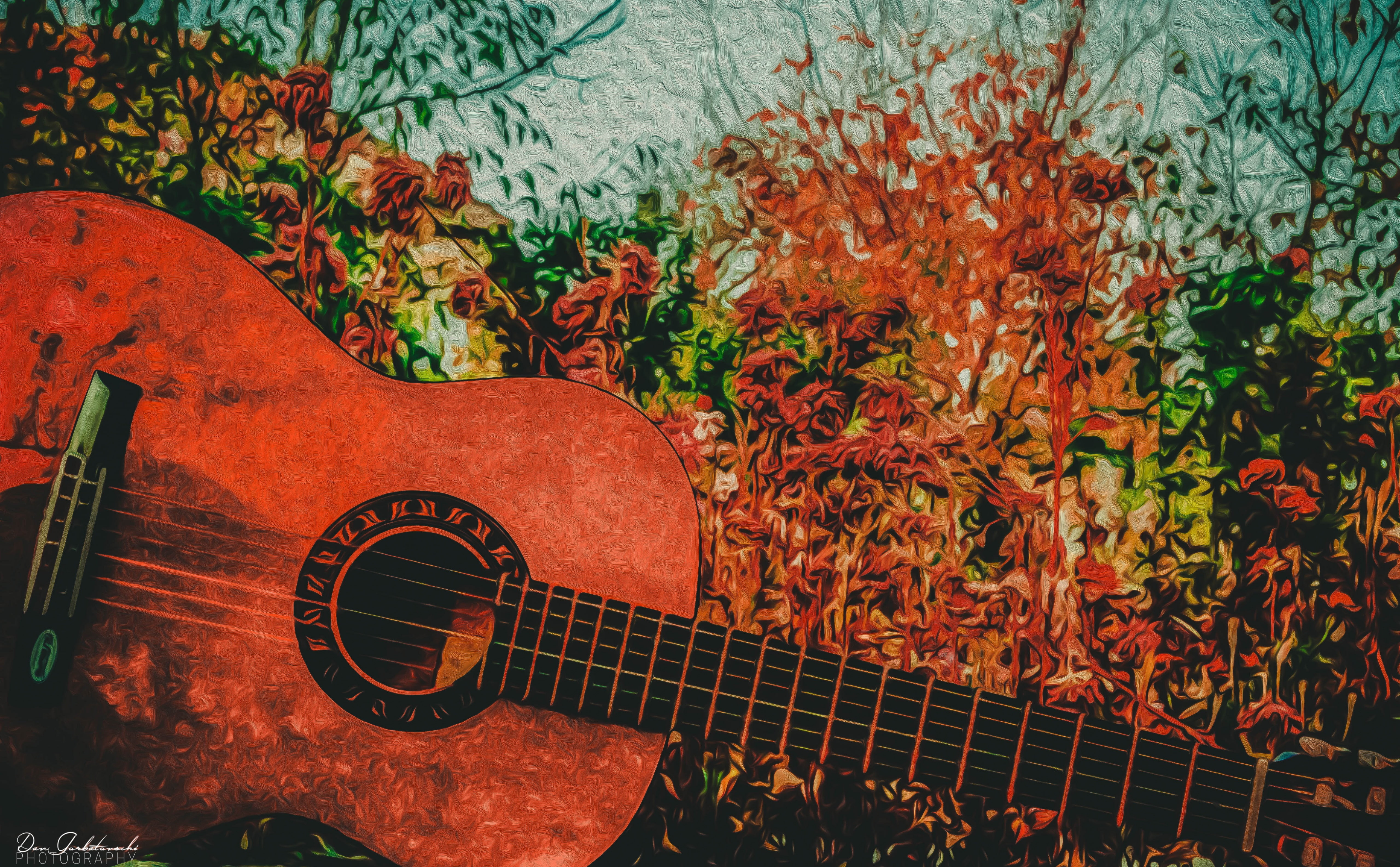 Autumn, one, leaf, beige, Artistic, musical instrument, string, day, plucking an instrument, bad, Guitar, classical, field, Fall, high angle view, string instrument, HD Wallpaper