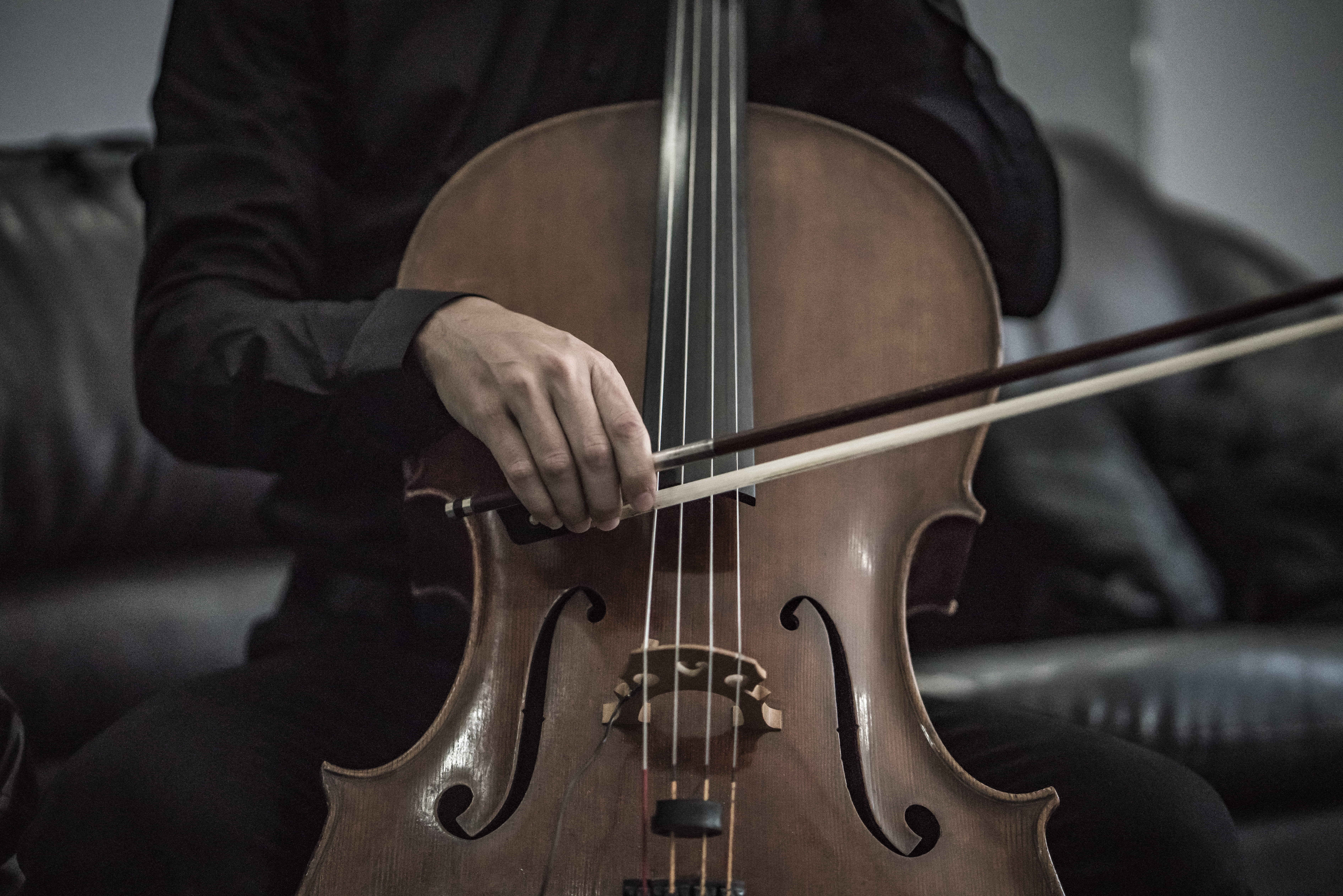 arts And Entertainment, bokeh, instrument, wood - Material, wearing, men, people, holding, string, string Instrument, entertainment, classical Style, classic, HD Wallpaper
