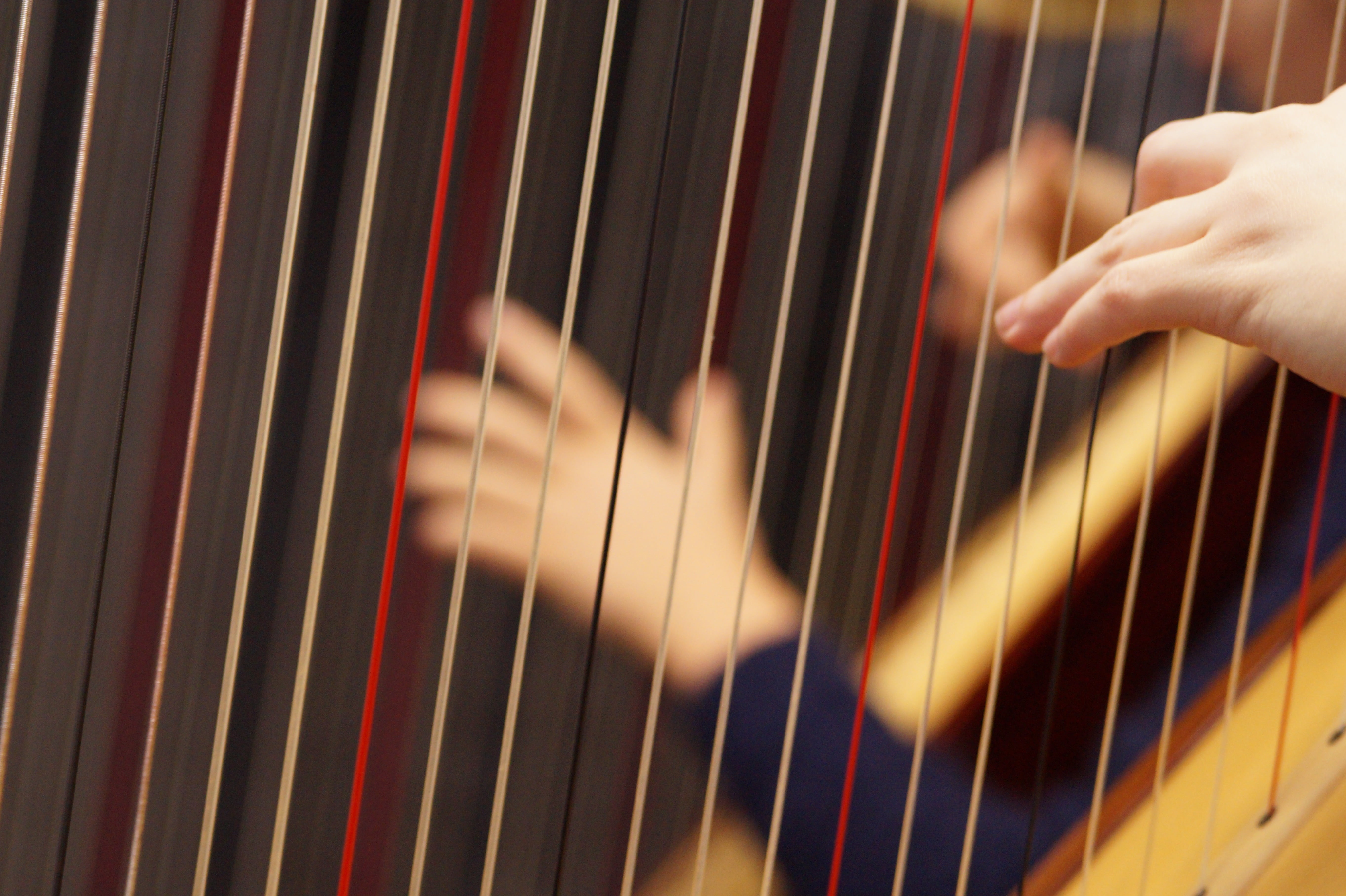 musical equipment, skill, musical Instrument, stringed instrument, human finger, musician, arts culture and entertainment, human body part, musical Instrument String, HD Wallpaper