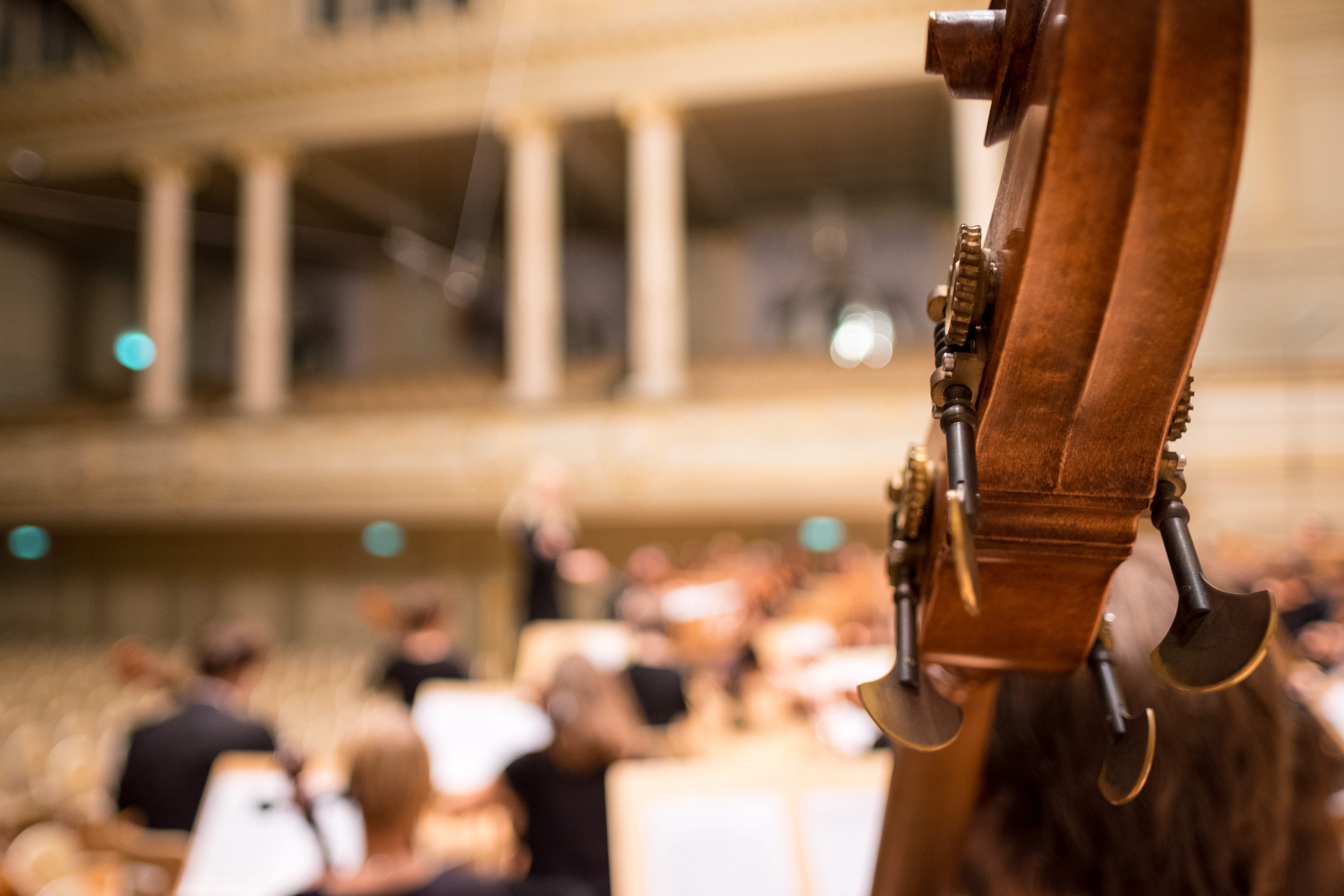 brown, symphony, seat, surface, musician, musical instrument, classical music, string instrument, wood - material, incidental people, string, auditorium, HD Wallpaper