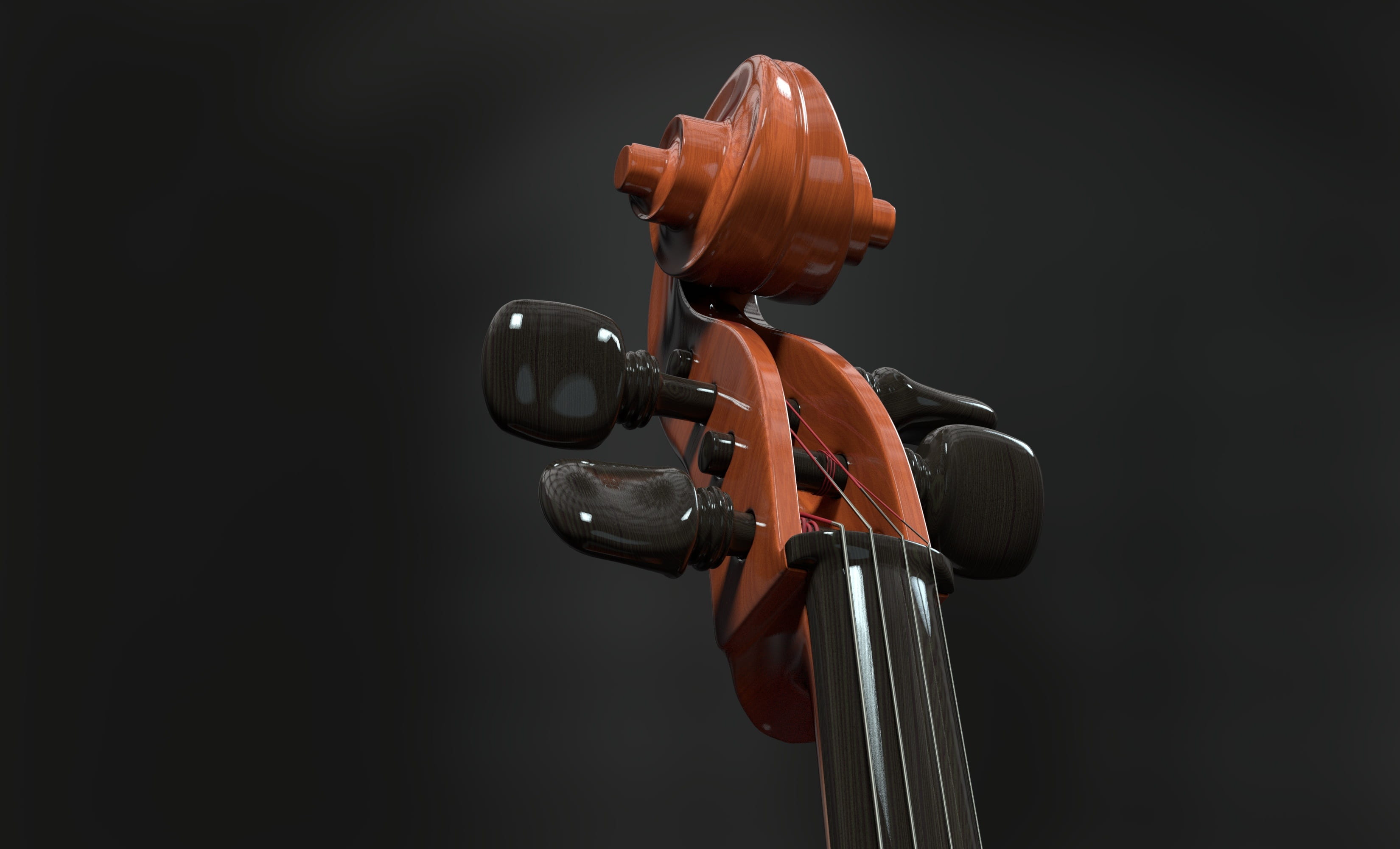 cello, musical equipment, healthcare and medicine, selective, studio shot, detail, focus, string instrument, snail, brown, strings, arts culture and entertainment, HD Wallpaper