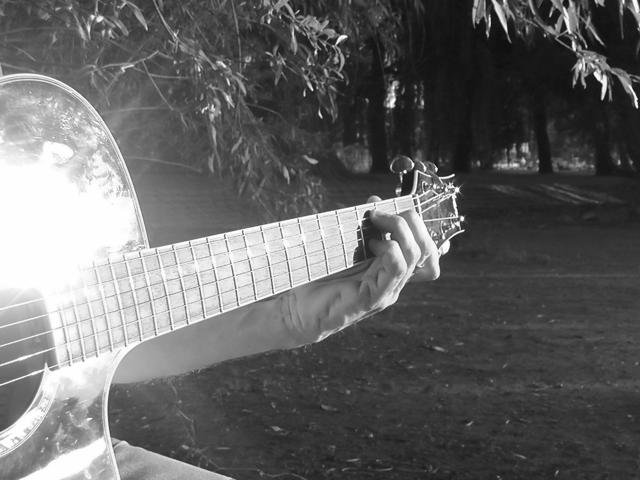 plant, strings, acoustic guitar, focus on foreground, one person, day, land, music, sound, outdoors, finger exercise, lifestyles, guitar, park, lens flare, HD Wallpaper