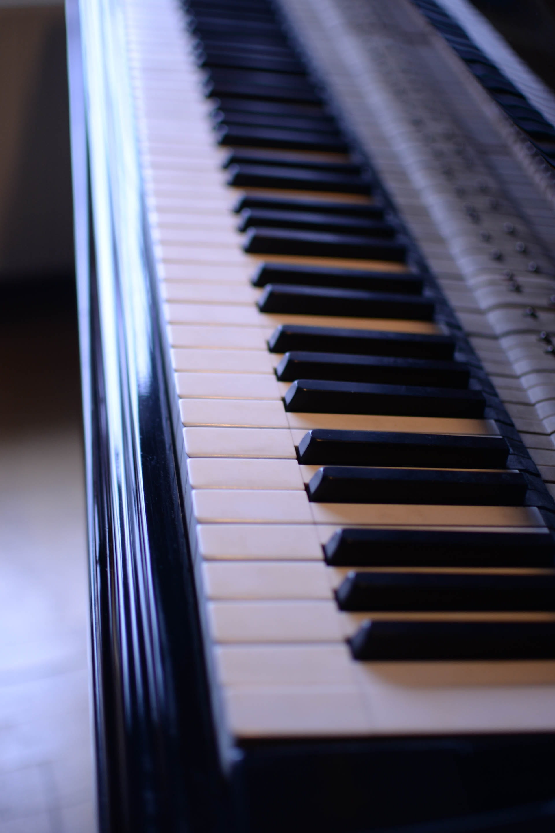 white color, selective focus, sound, piano strings, no people, piano keys, 2K, instrument, keyboard instrument, close-up, piano keyboard, musician, Piano, Phone HD Wallpaper