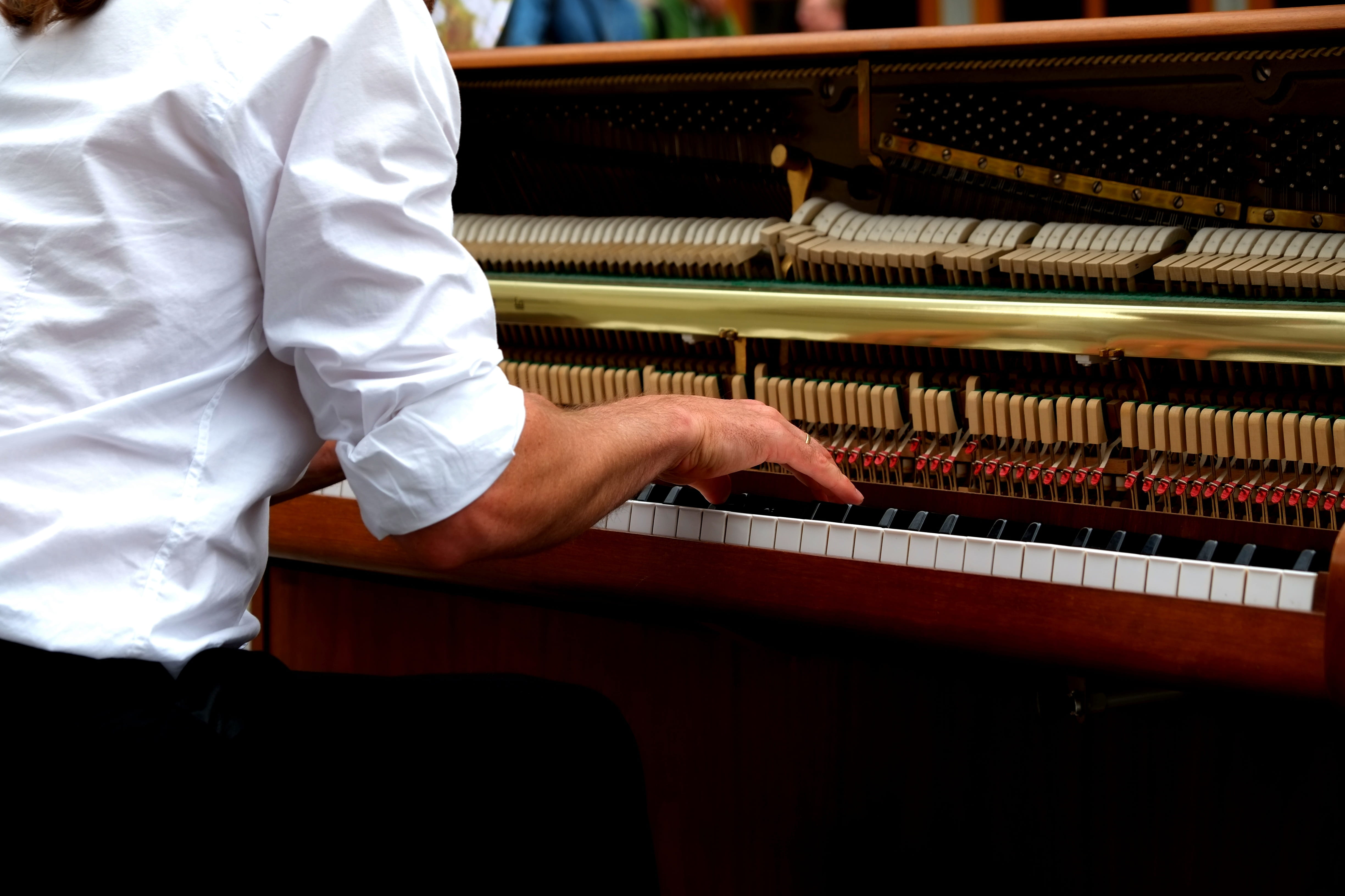 piano keyboard, leisure activity, tonkunst, musical equipment, instrument, keyboard instrument, macro, musical instrument, grand, white, playing, piano player, HD Wallpaper