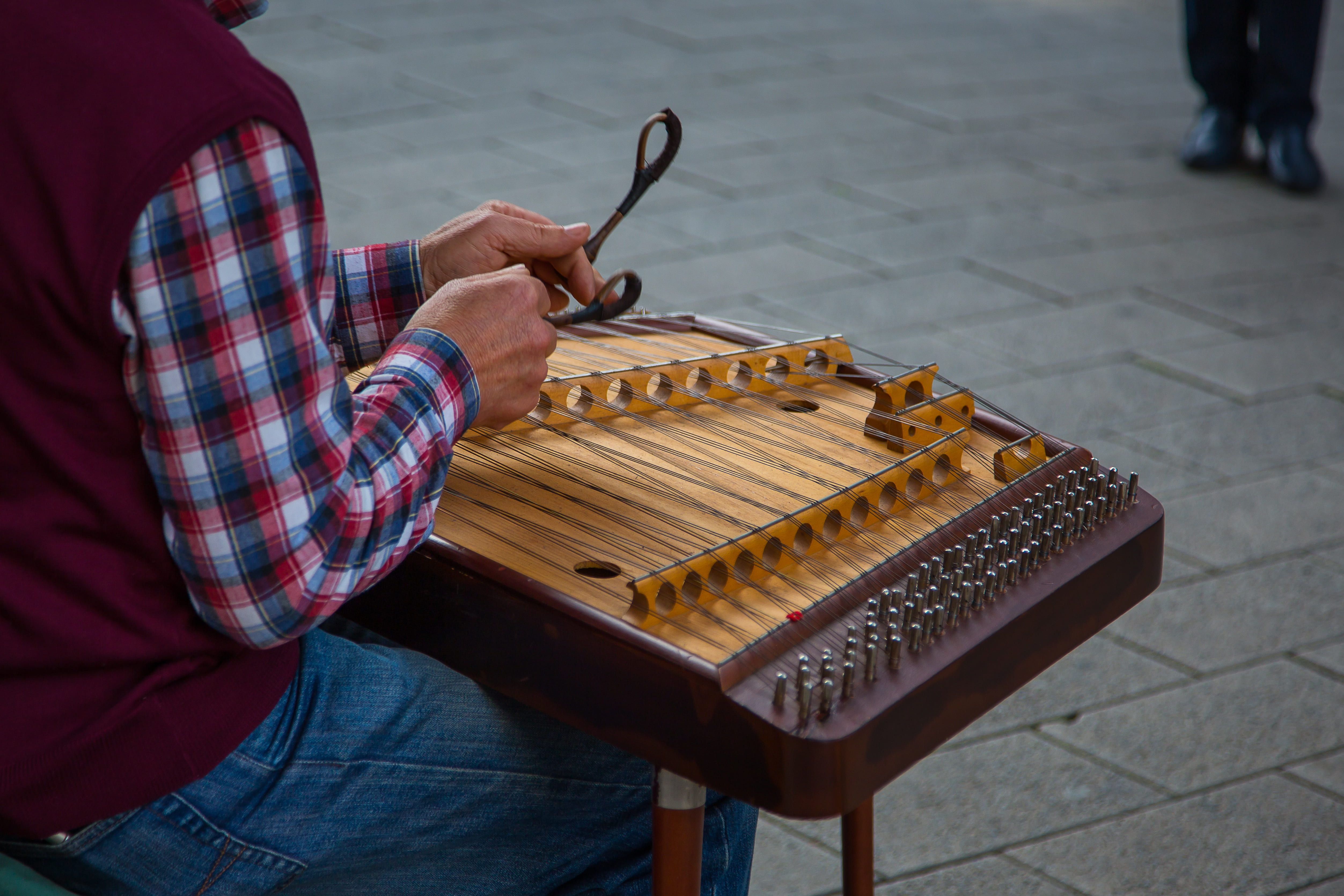 soundbody, instrument, skill, arts culture and entertainment, string instrument, string, real people, strings, stringed instrument, one person, sitting, HD Wallpaper