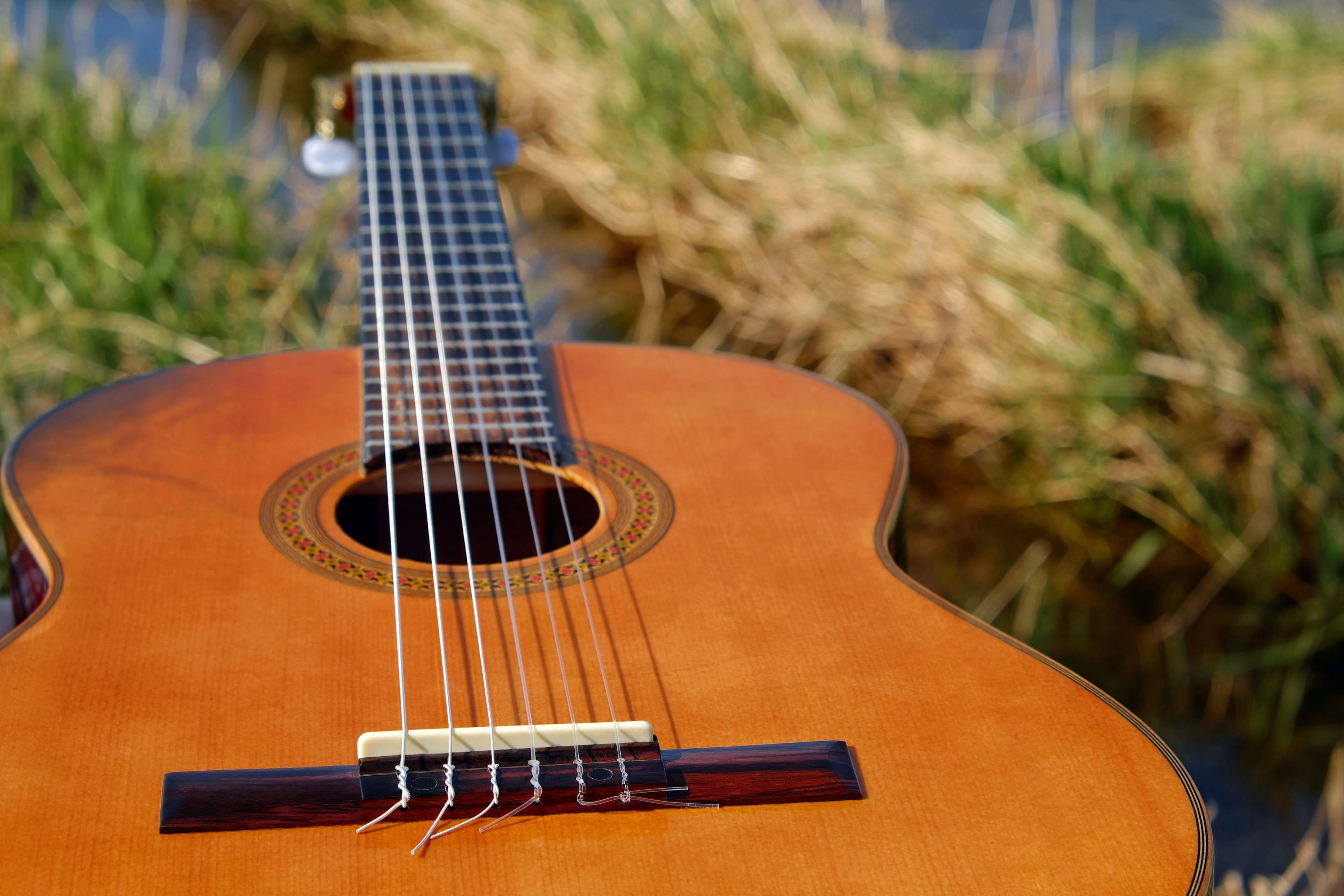 still life, musical instrument, focus on foreground, setting, musical equipment, string instrument, 4K, brown, musical instrument string, sheet music, HD Wallpaper