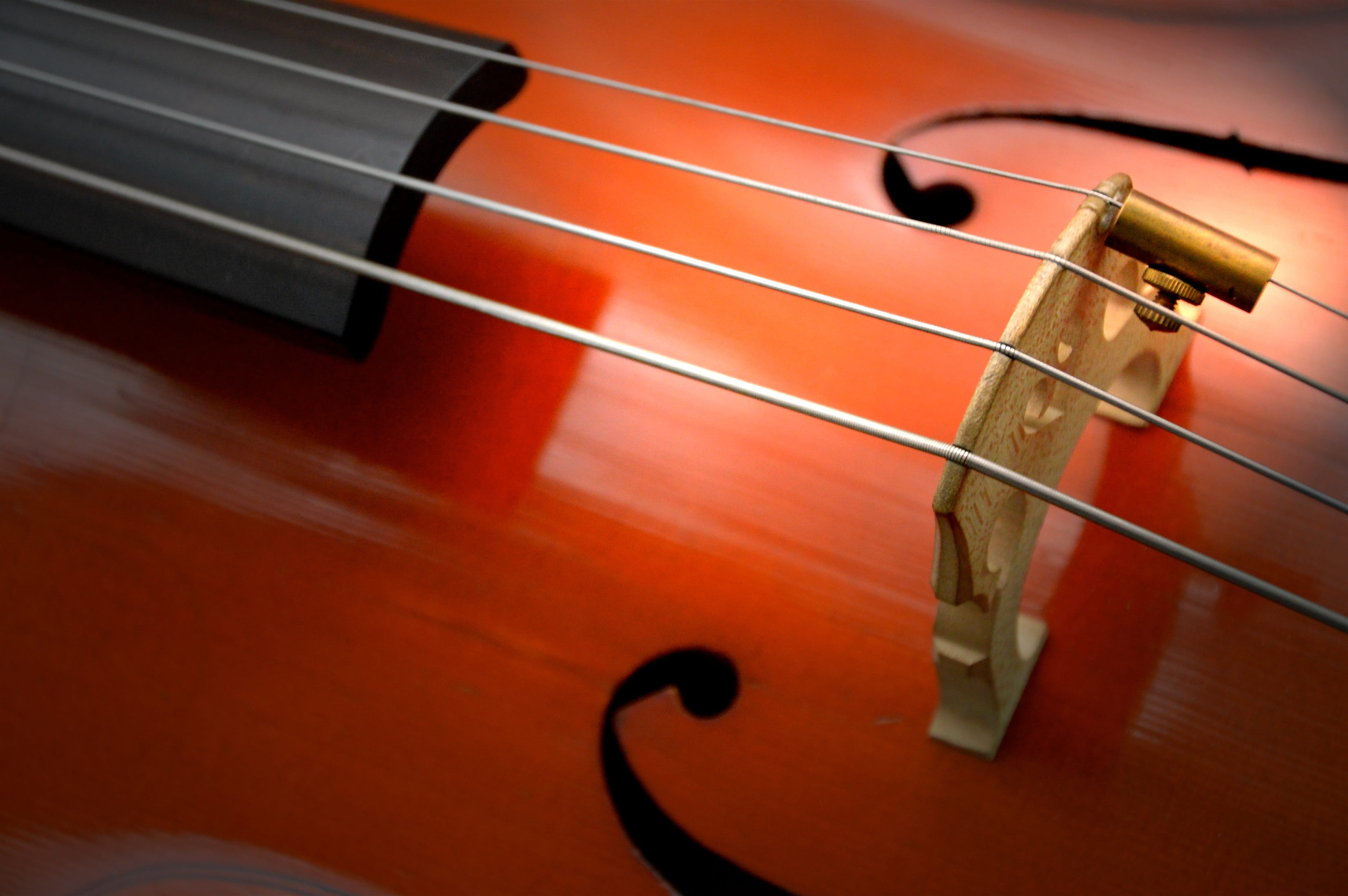 string, performance, acoustic, single object, music, violin, 2K, stringed instrument, wood, arts culture and entertainment, bow - musical equipment, instrument, HD Wallpaper