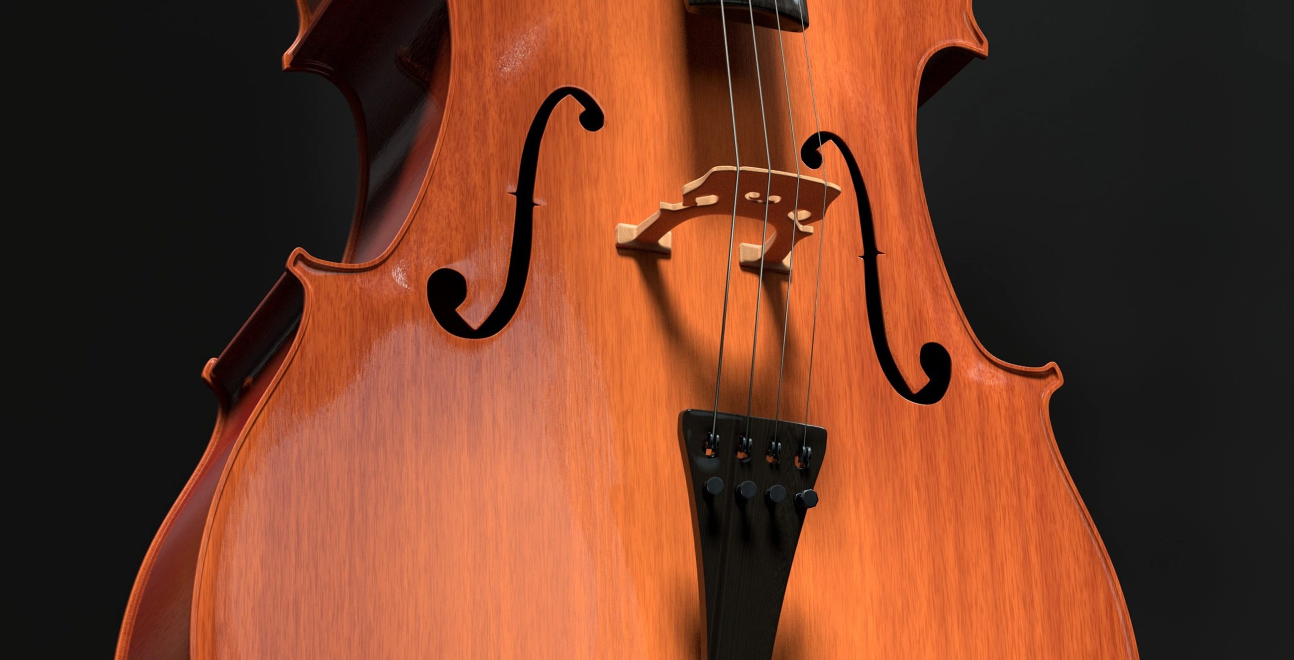 3d-model, soundbody, detail, string instrument, stringed instrument, antique, black color, classic, wood - material, performance, human body part, brown, HD Wallpaper