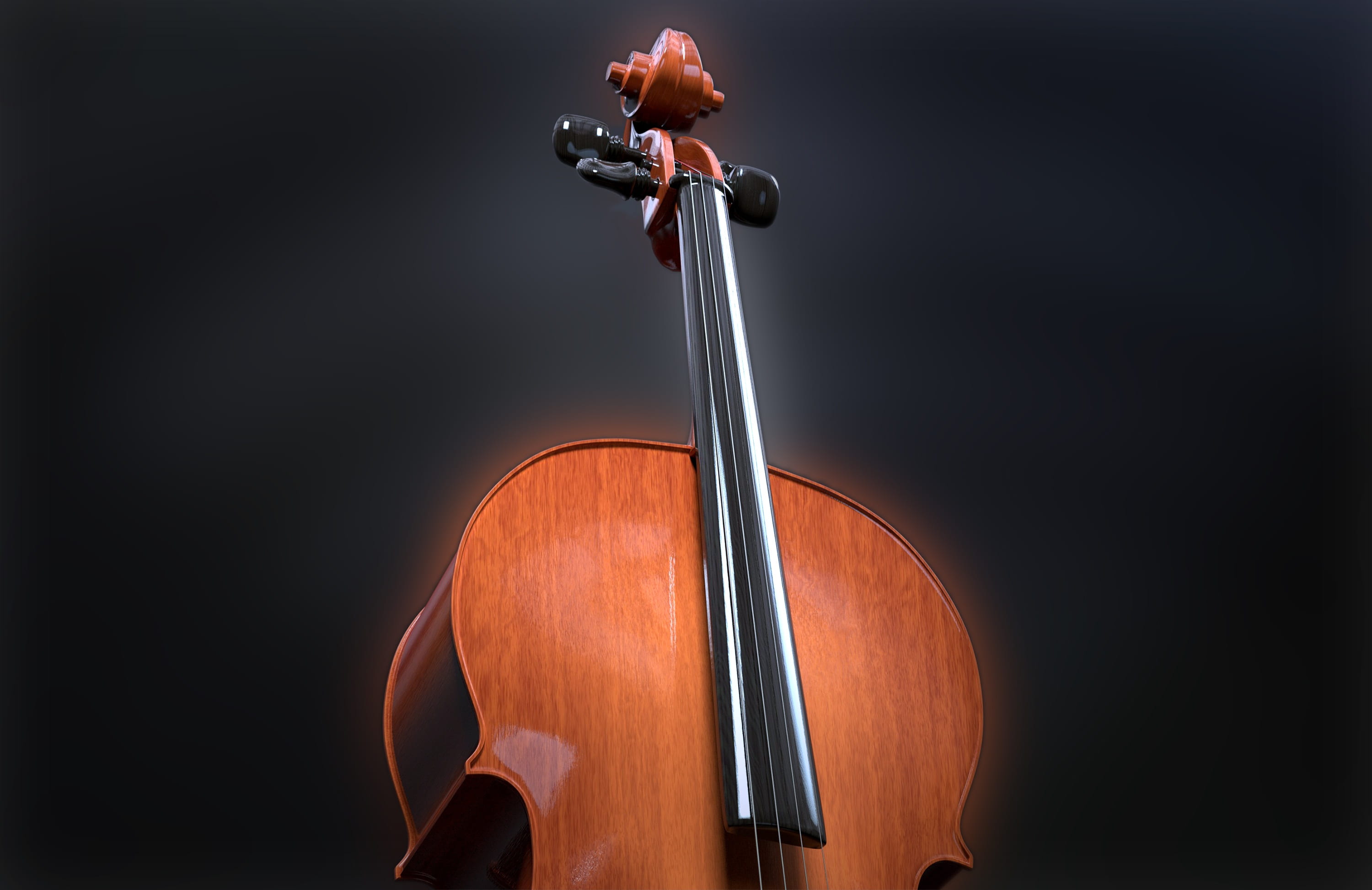 double bass, cellist, bow - musical equipment, strings, cello, sound, studio shot, violin, instrument, classic, close-up, musical instrument string, acoustic, HD Wallpaper