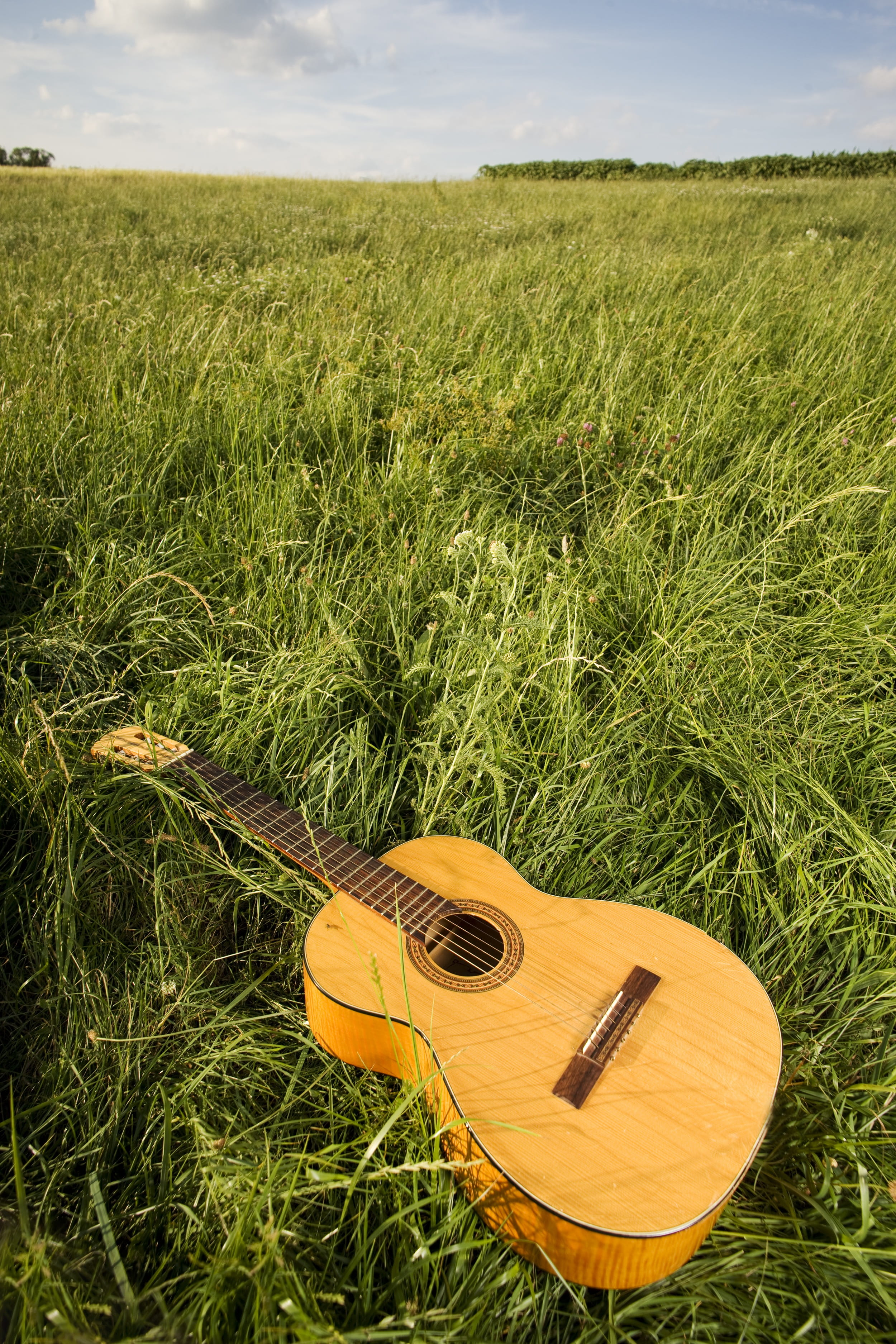 landscape, no people, stringed instrument, guitar, green color, beauty in nature, string Instrument, handle, musical equipment, country, hand, arts culture and entertainment, Phone HD Wallpaper