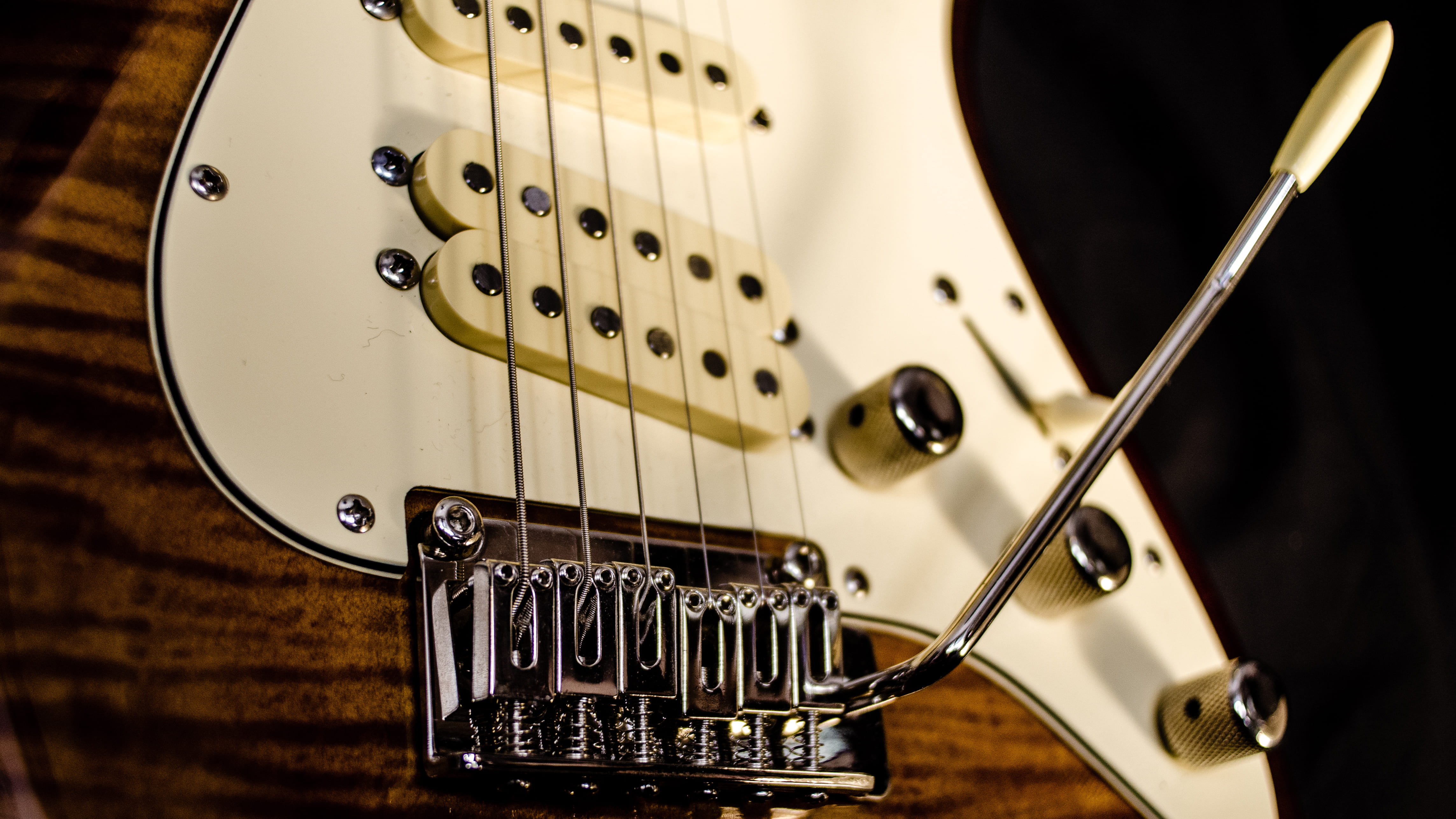 musical instrument string, string instrument, tremolo, electric guitar, jazz, arts culture and entertainment, guitar, focus on foreground, close-up, music, HD Wallpaper