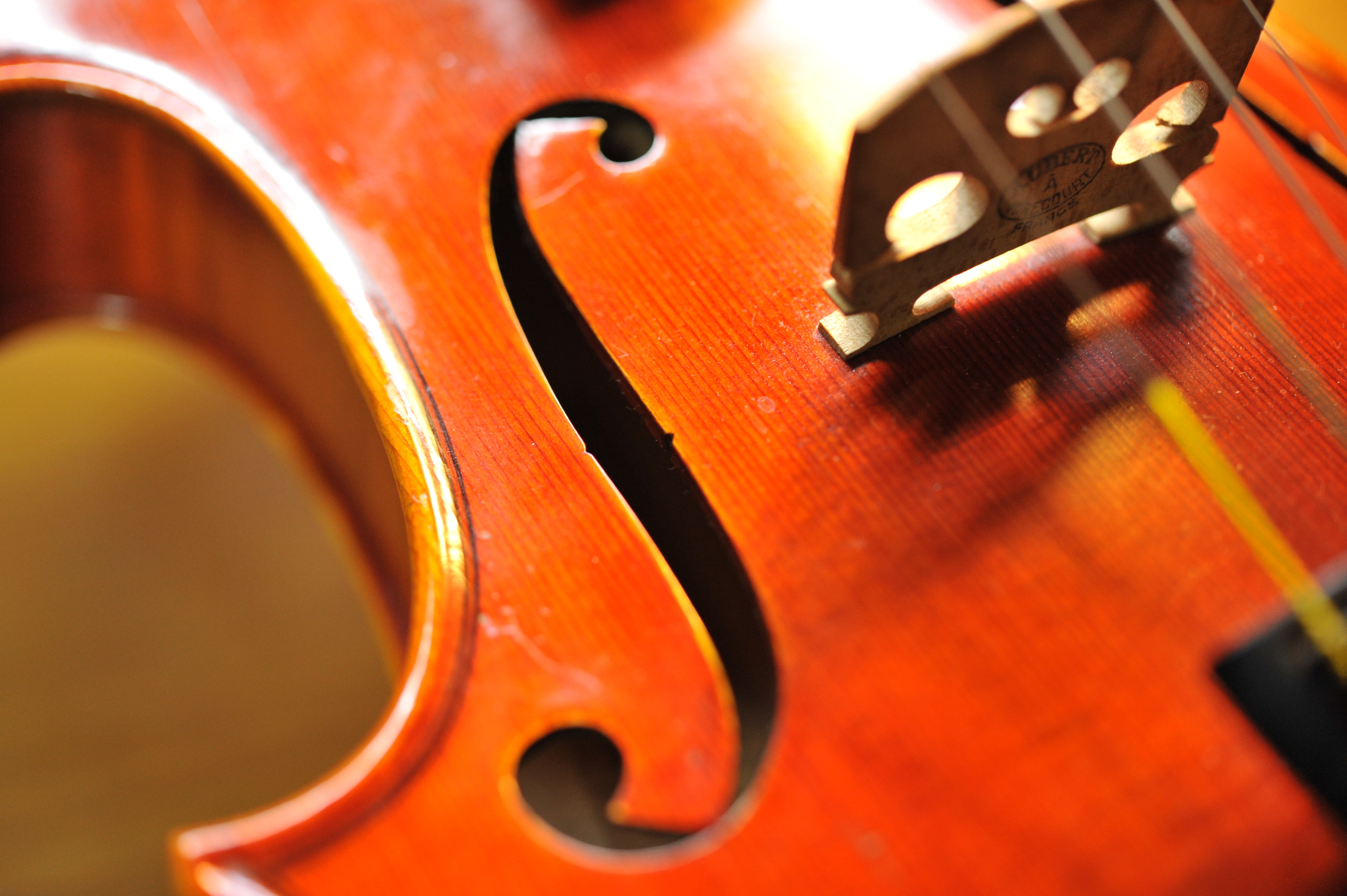 bridge, 4K, marco, musical Instrument String, musical Instrument, photo, gear, classical Music, close-up, viola - Musical Instrument, string Instrument, HD Wallpaper