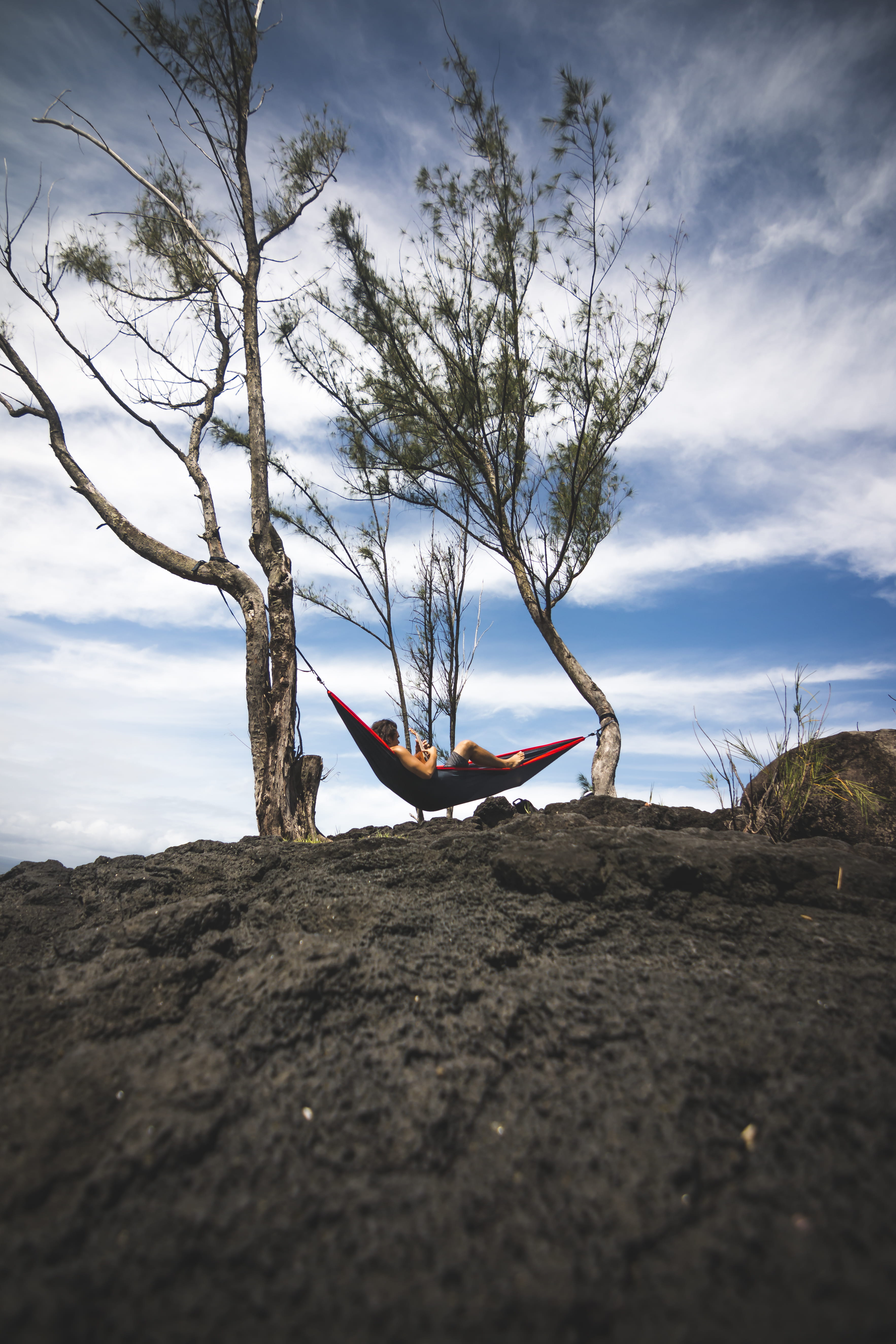 tranquil scene, nature, red, ukelele, human arm, full length, 5K, land, day, black, outdoors, one person, field, branch, real people, hammock, plant, daytime, Phone HD Wallpaper