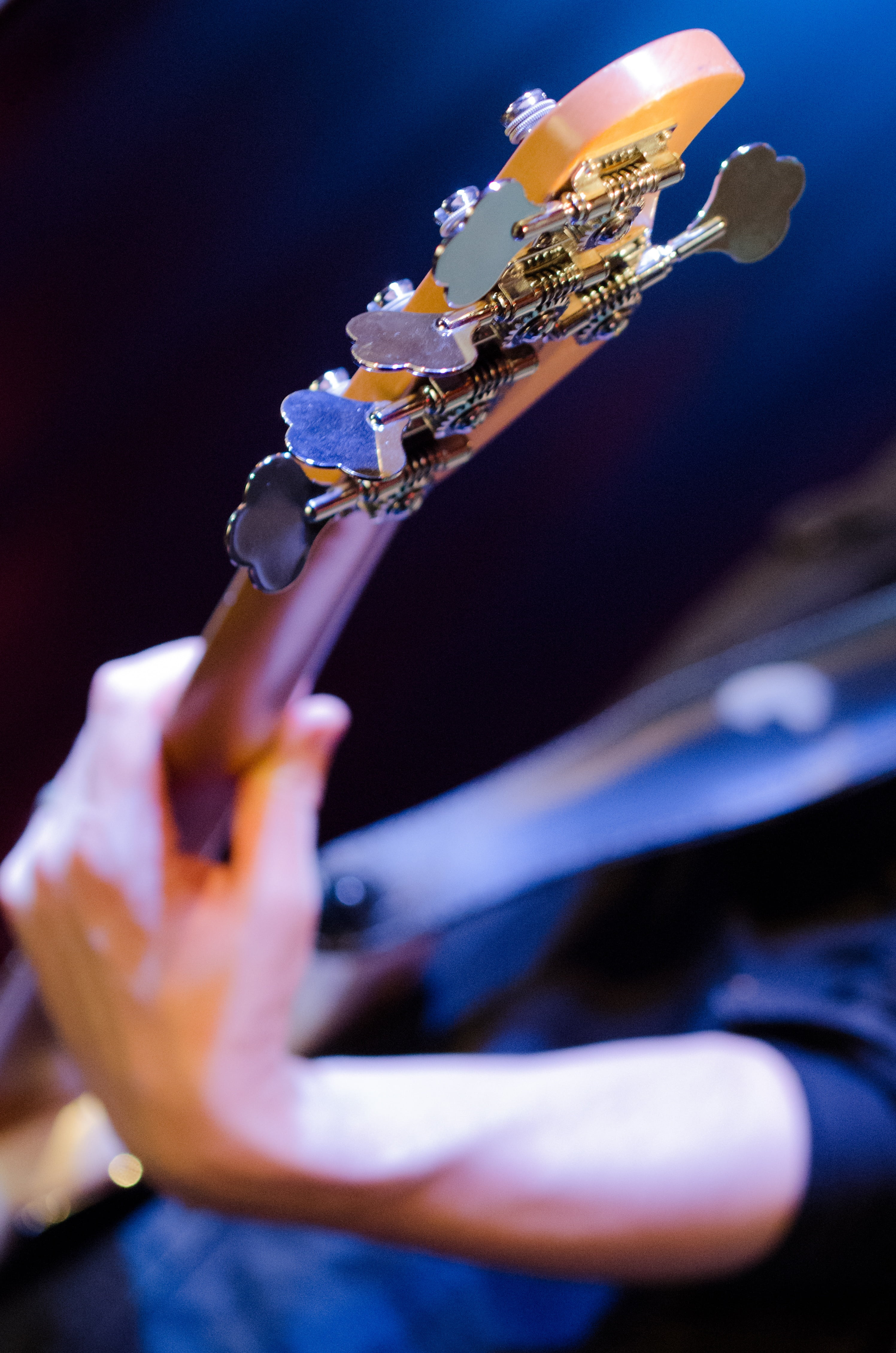 playing, musical instrument, strings, illuminated, instrument, focus on foreground, stringed instrument, bass, real people, musician, bassist, 4K, hand, Phone HD Wallpaper