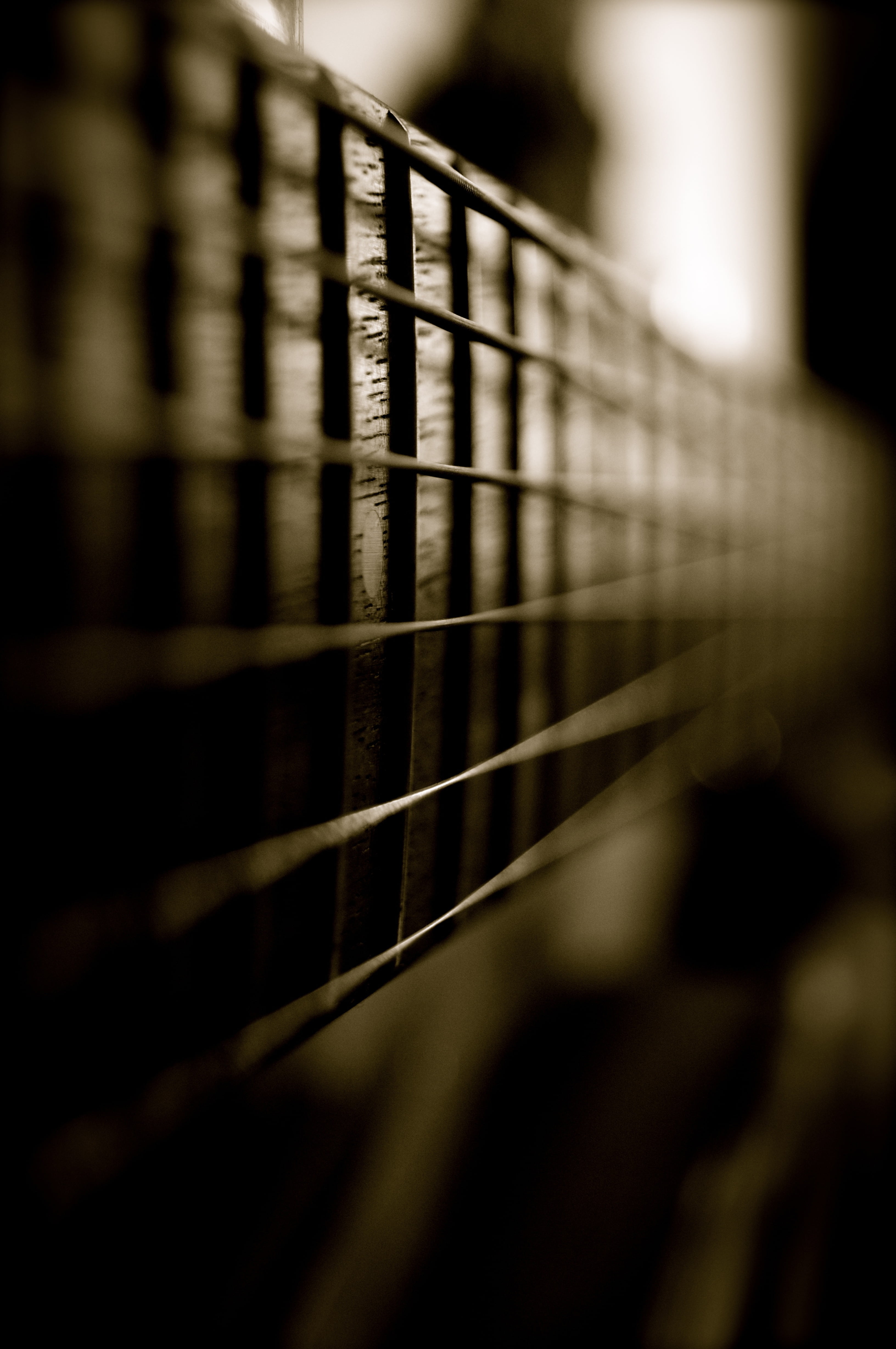 close-up, musical instrument string, musical instrument, black, 4K, music, handle, cool, acoustic guitar, strings, shelf, history, fretboard, musical equipment, Phone HD Wallpaper
