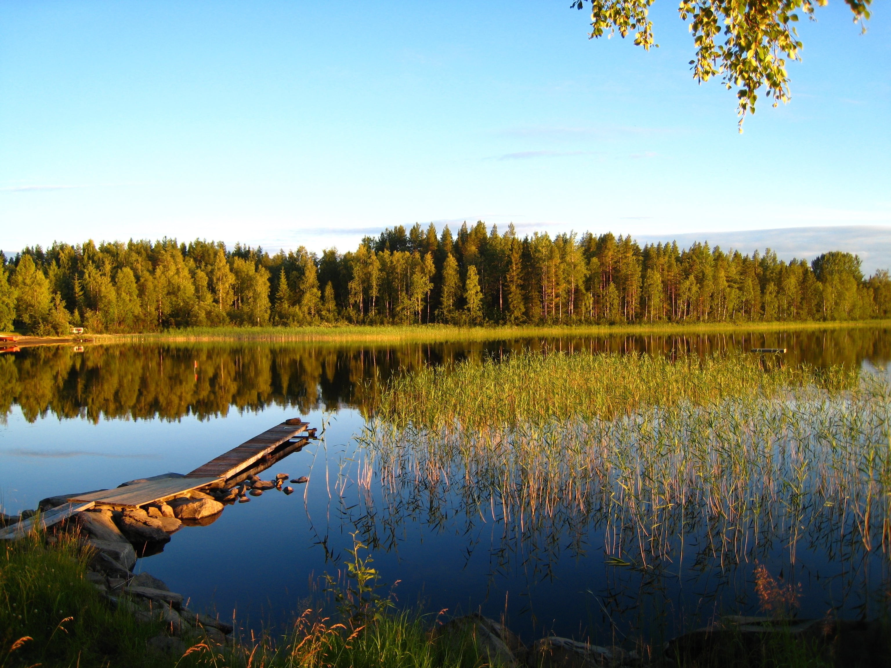 beauty in nature, landscapes, daytime, green, landscape sweden, 2K, lull, outdoors, leafed, idyllic, water, commodity swamp, västerbotten, reflection, HD Wallpaper