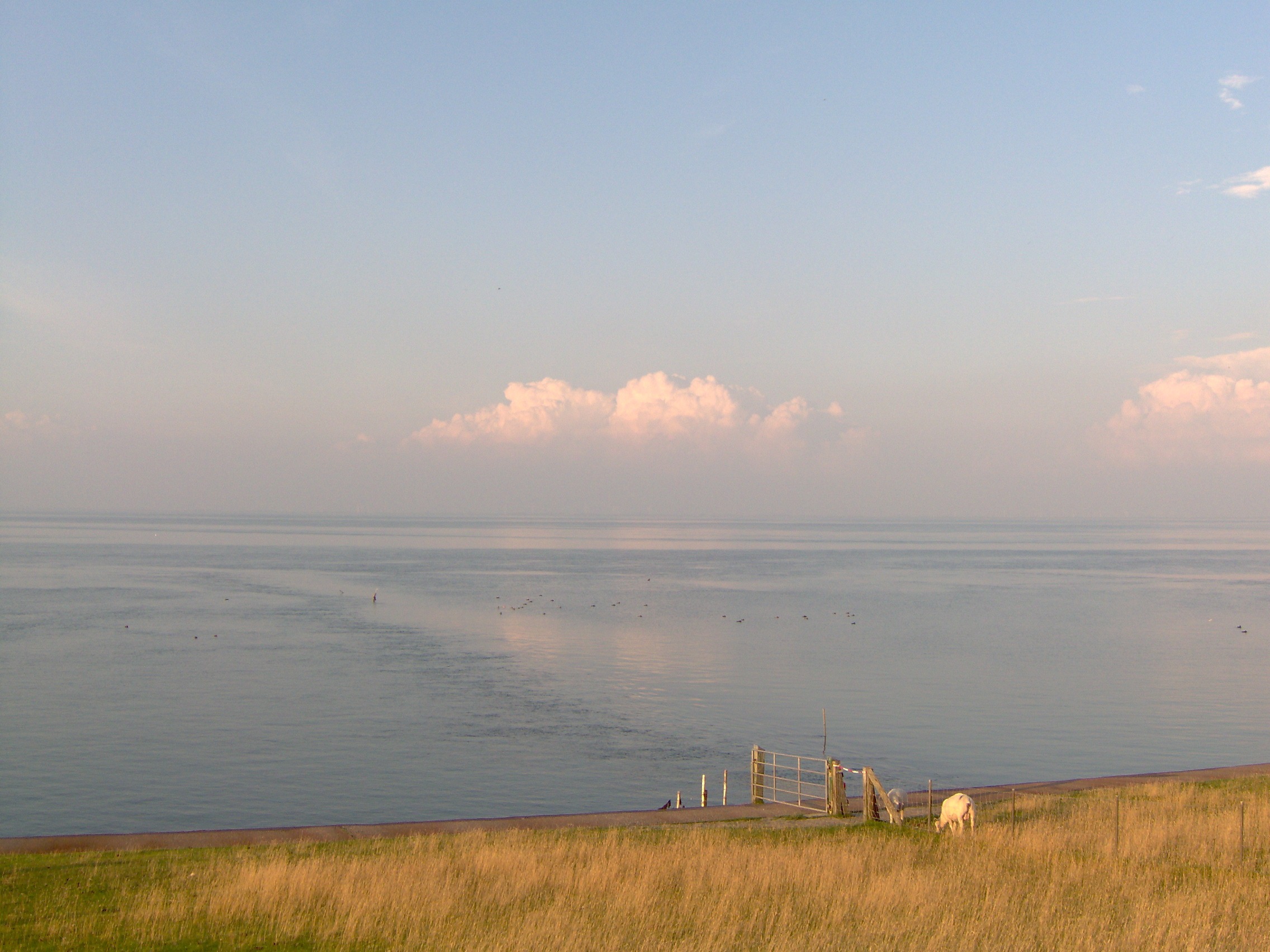scenics - nature, beauty in nature, horizon over water, abendstimmung, rest, tranquility, north sea, ocean, outdoors, cloud - sky, dike, sea, calm, grass, HD Wallpaper