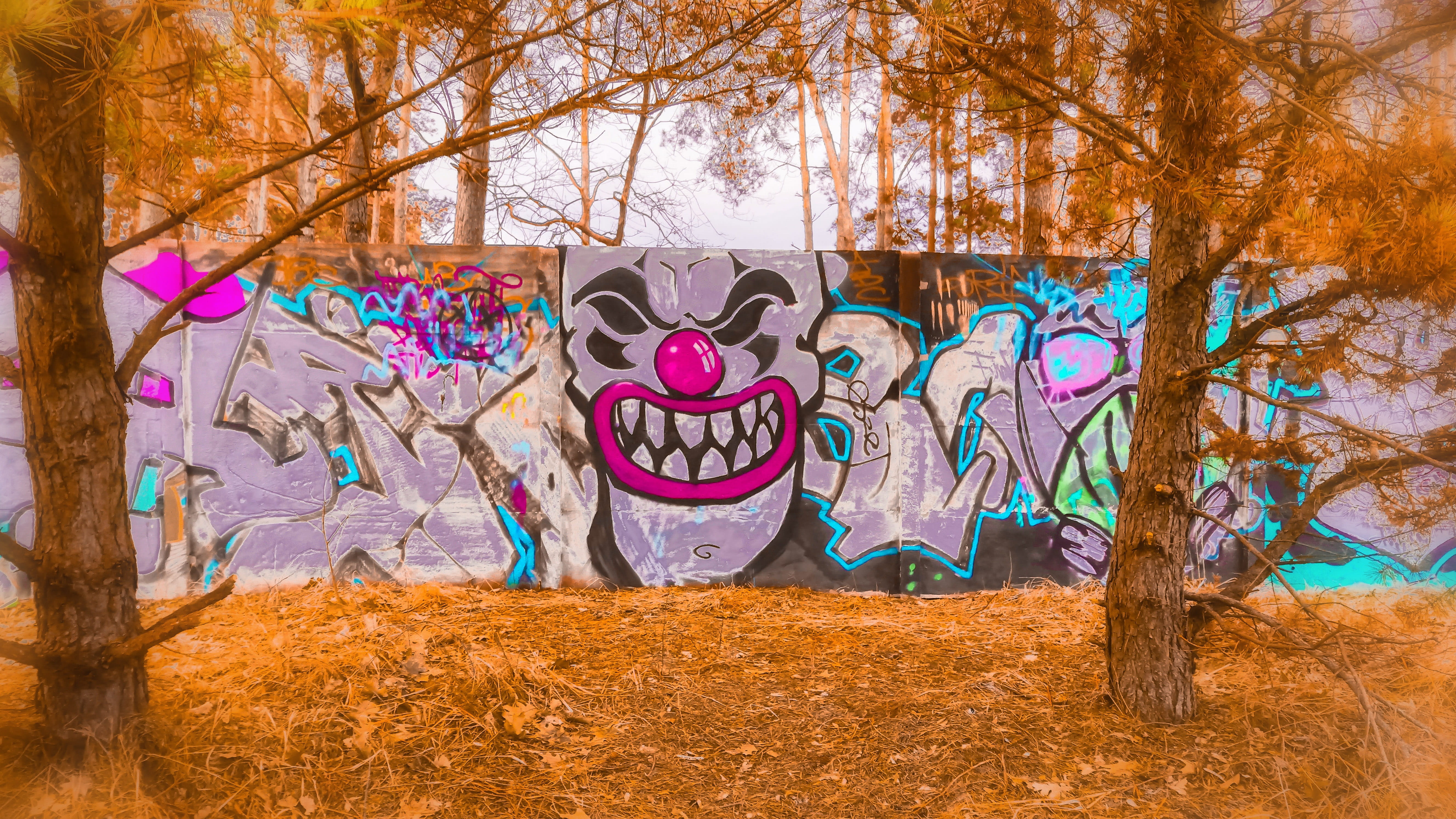 built structure, nature, art, tree, 5K, pig, human representation, paint container, tiger, architecture, park, no people, autumn, wall - building feature, HD Wallpaper