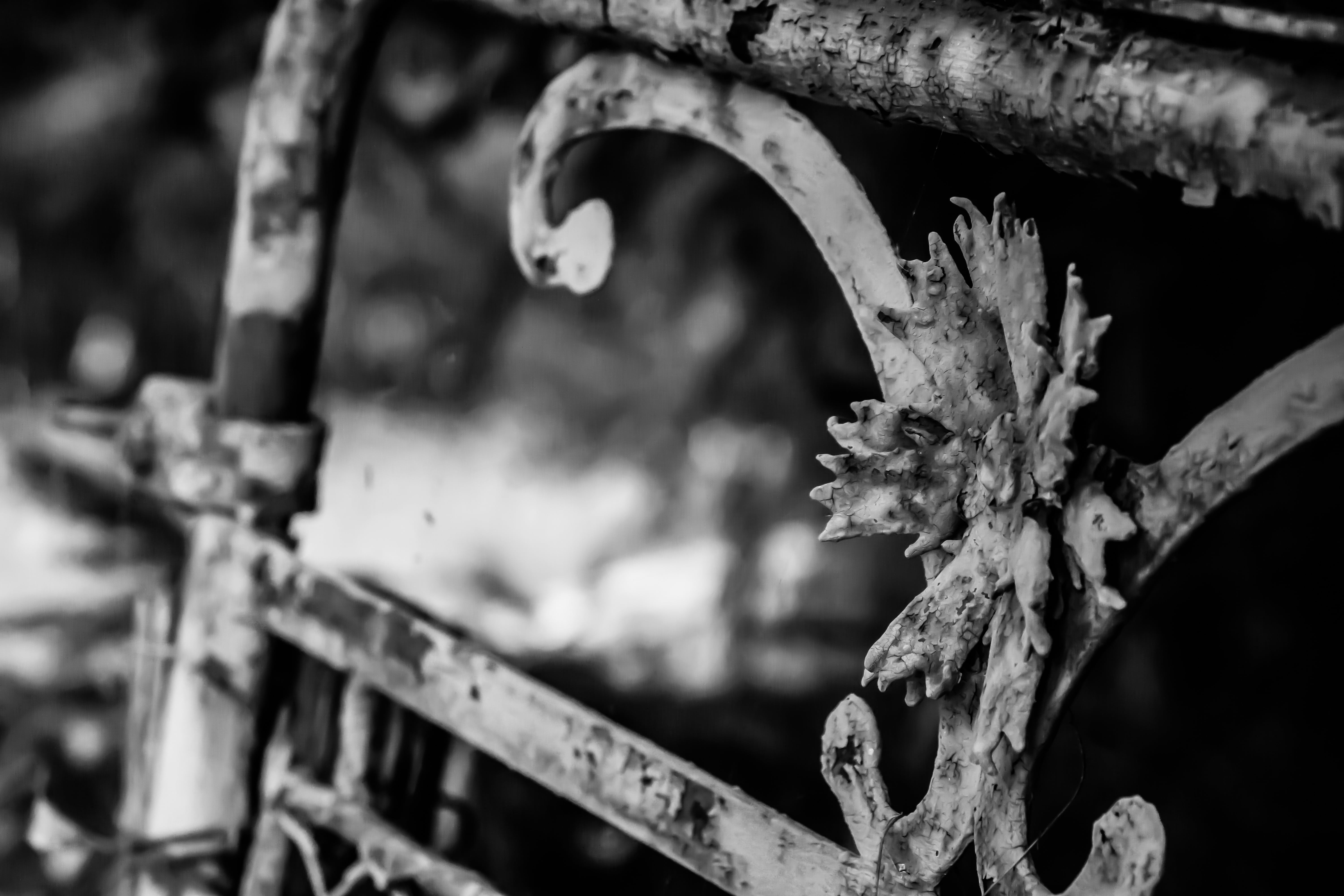 metal, no people, outdoors, tranquility, plant, boundary, flower, architecture, goal, rusted, out of date, fence, security, doors, focus on foreground, HD Wallpaper
