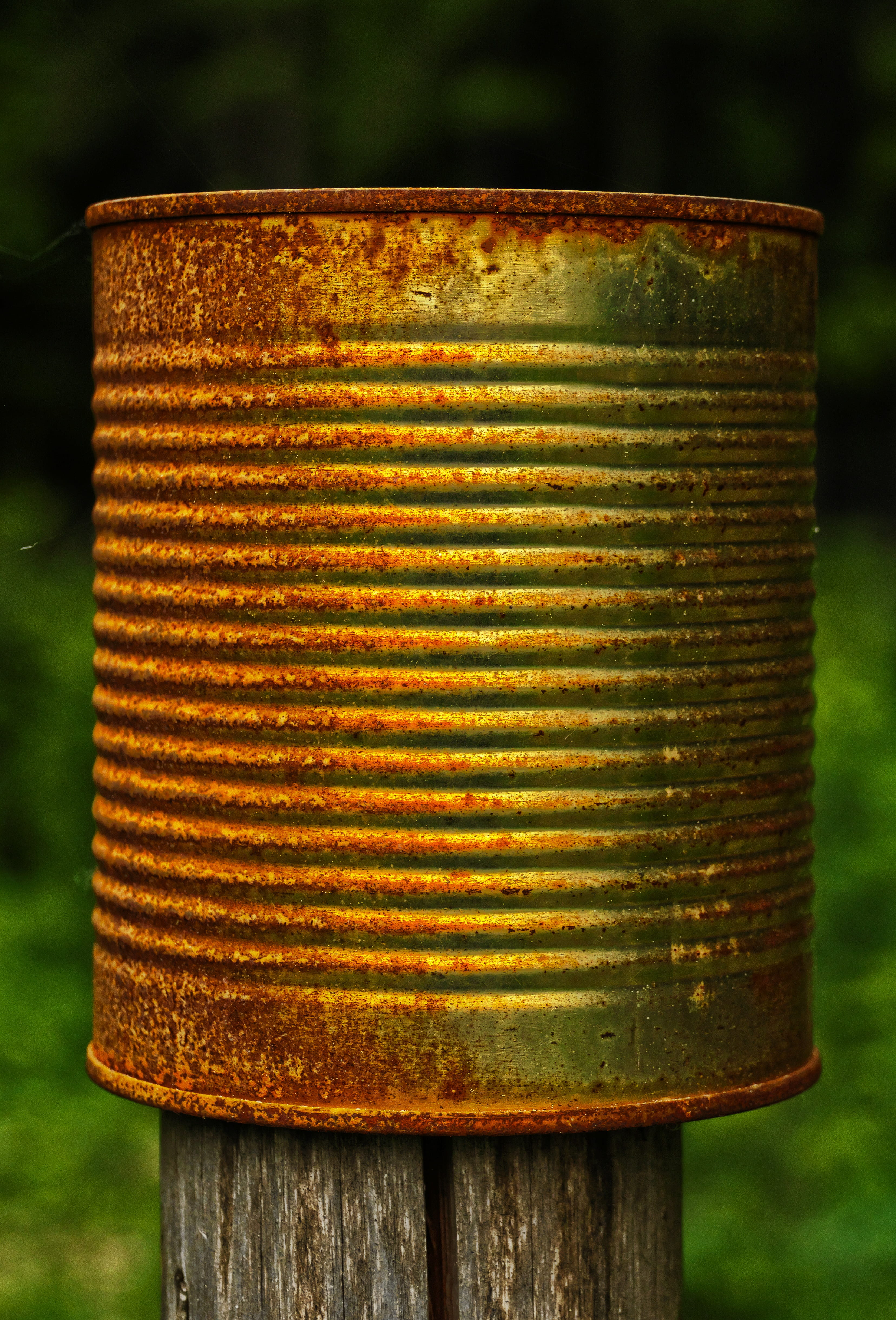 box, spar, rust, tin can, green color, forestry, post, 4K, sunlight, nature, outdoors, post completion of, tree, wood - material, close-up, safety, focus on foreground, Phone HD Wallpaper