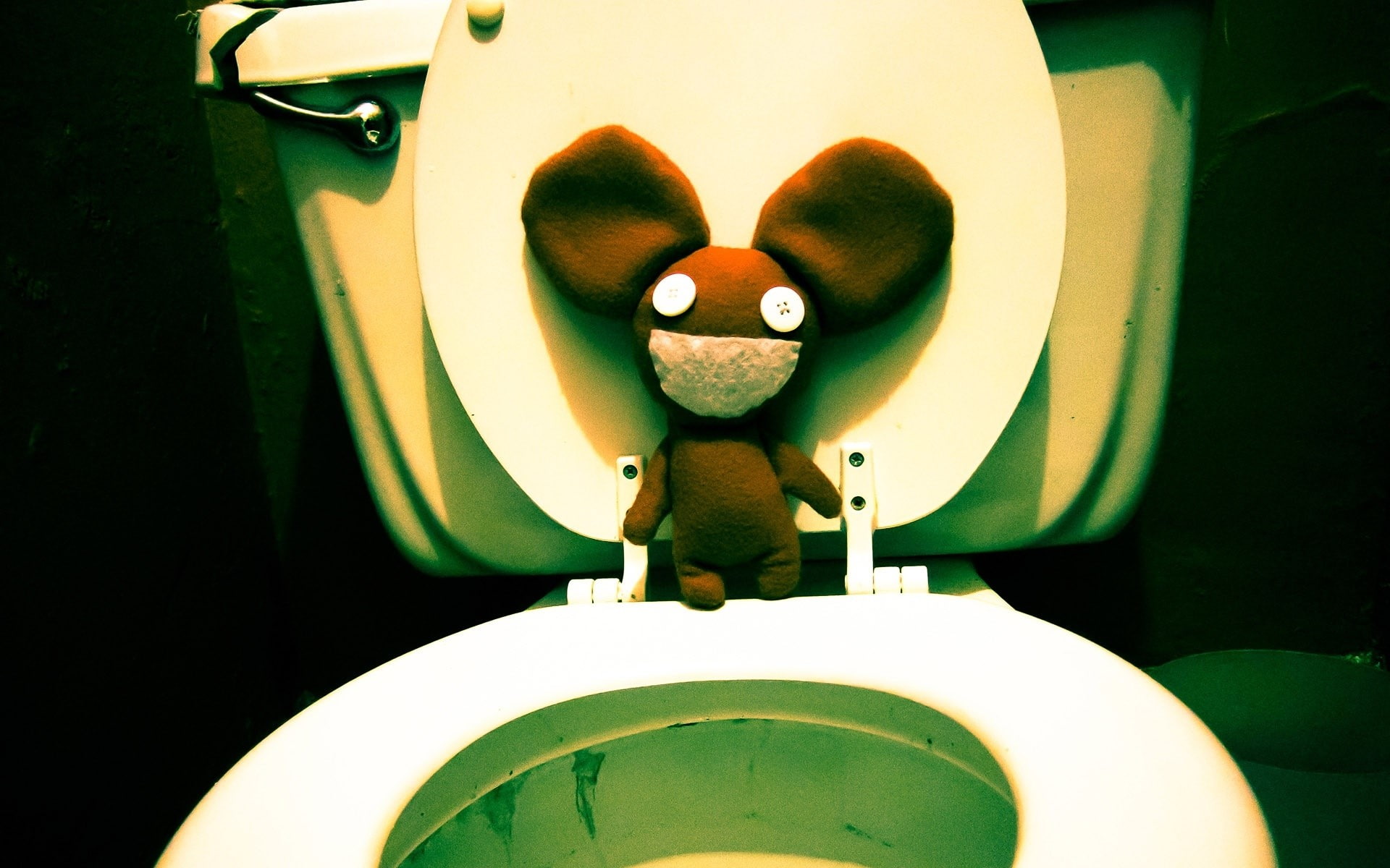 bathroom, anthropomorphic smiley face, day, toy, creativity, Wc, close-up, no people, Toilet, anthropomorphic face, stuffed toy, Deadmaus, 1080P, Eyes, HD Wallpaper