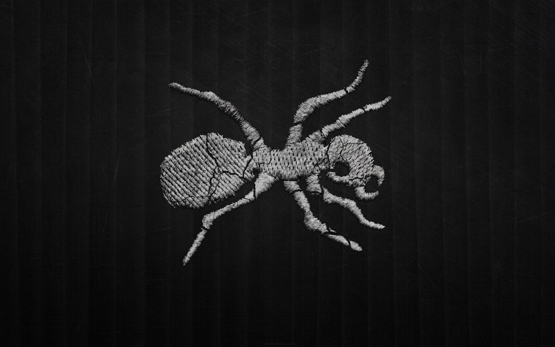 studio shot, animal themes, art and craft, nature, animal, minimalism the prodigy, black background, starfish, star shape, single object, shape, indoors, HD Wallpaper