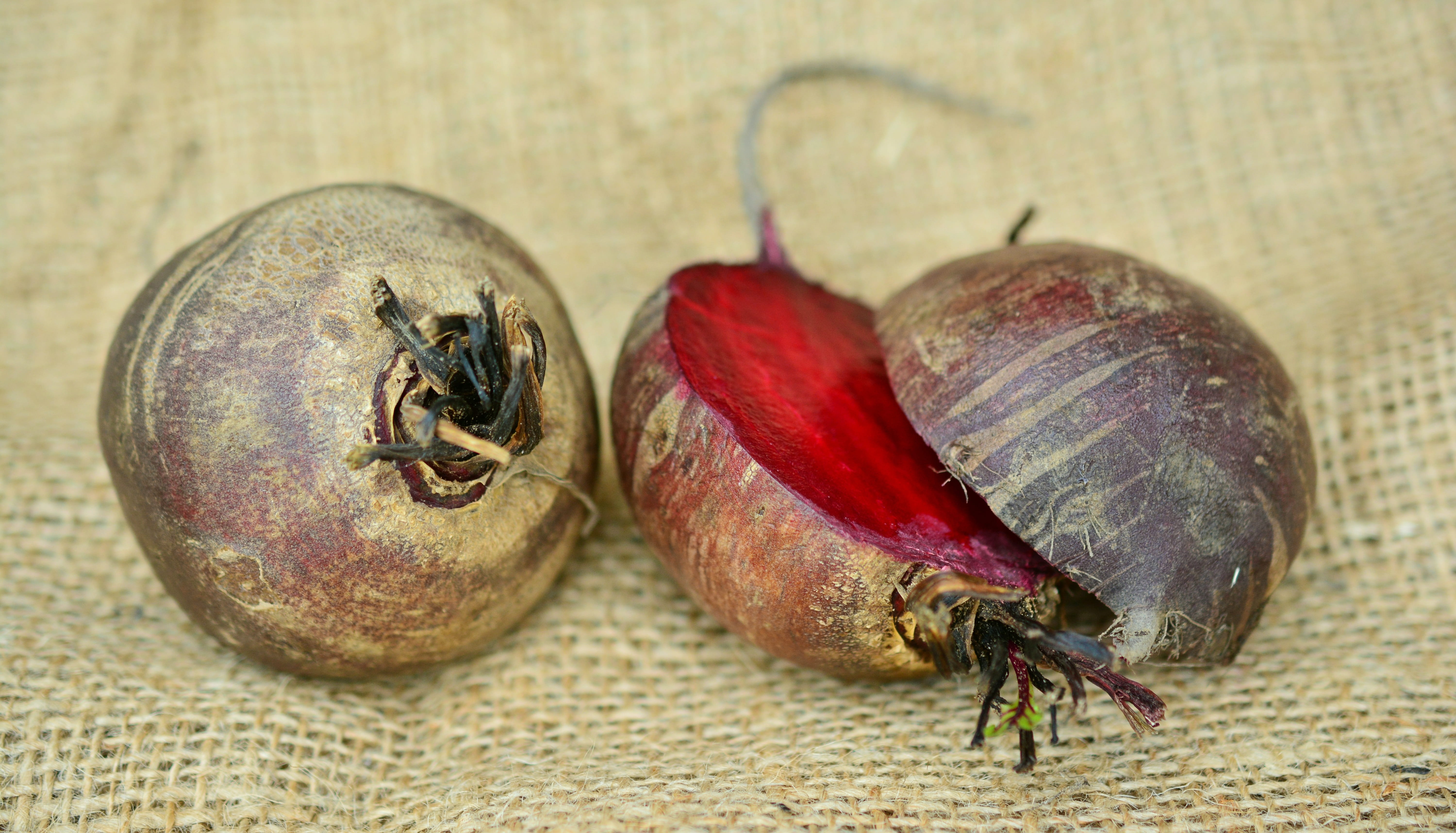 5K, animal themes, animal, Frisch, foxtail plant, turnip, healthy eating, no people, freshness, insect, red, beet, indoors, nature, harvest, organic, bio, HD Wallpaper