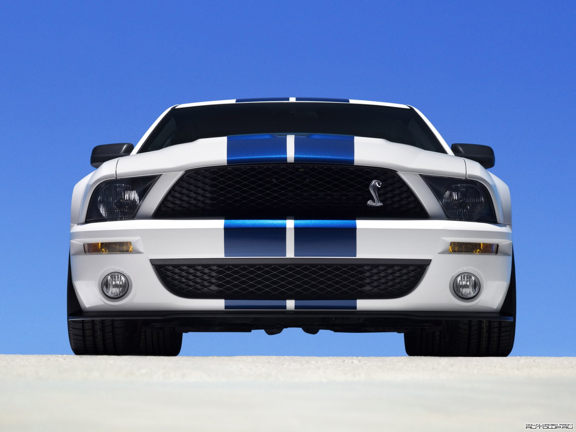 Ford Mustang, car, 1080P, Ford Mustang Shelby, HD Wallpaper