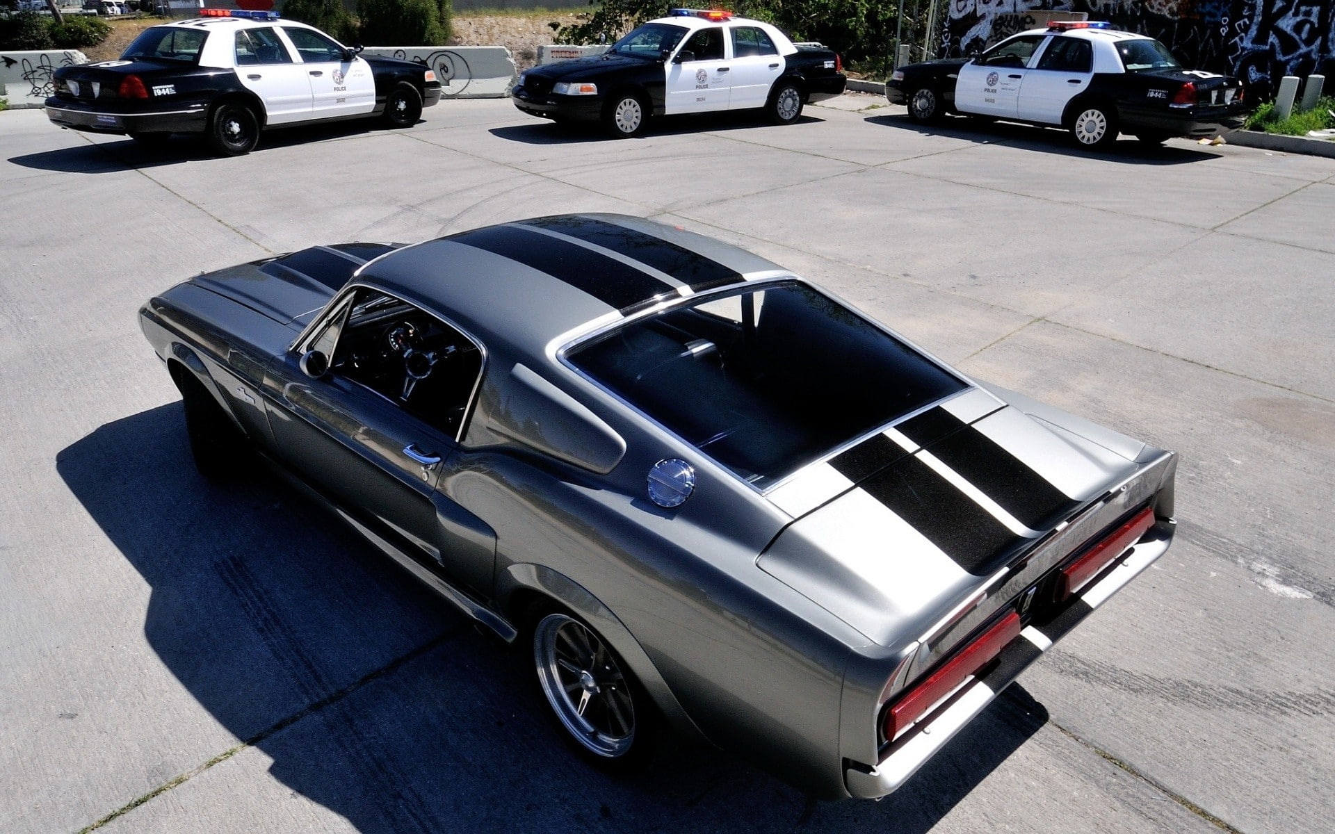 Ford Mustang, Shelby, police, 1080P, HD Wallpaper