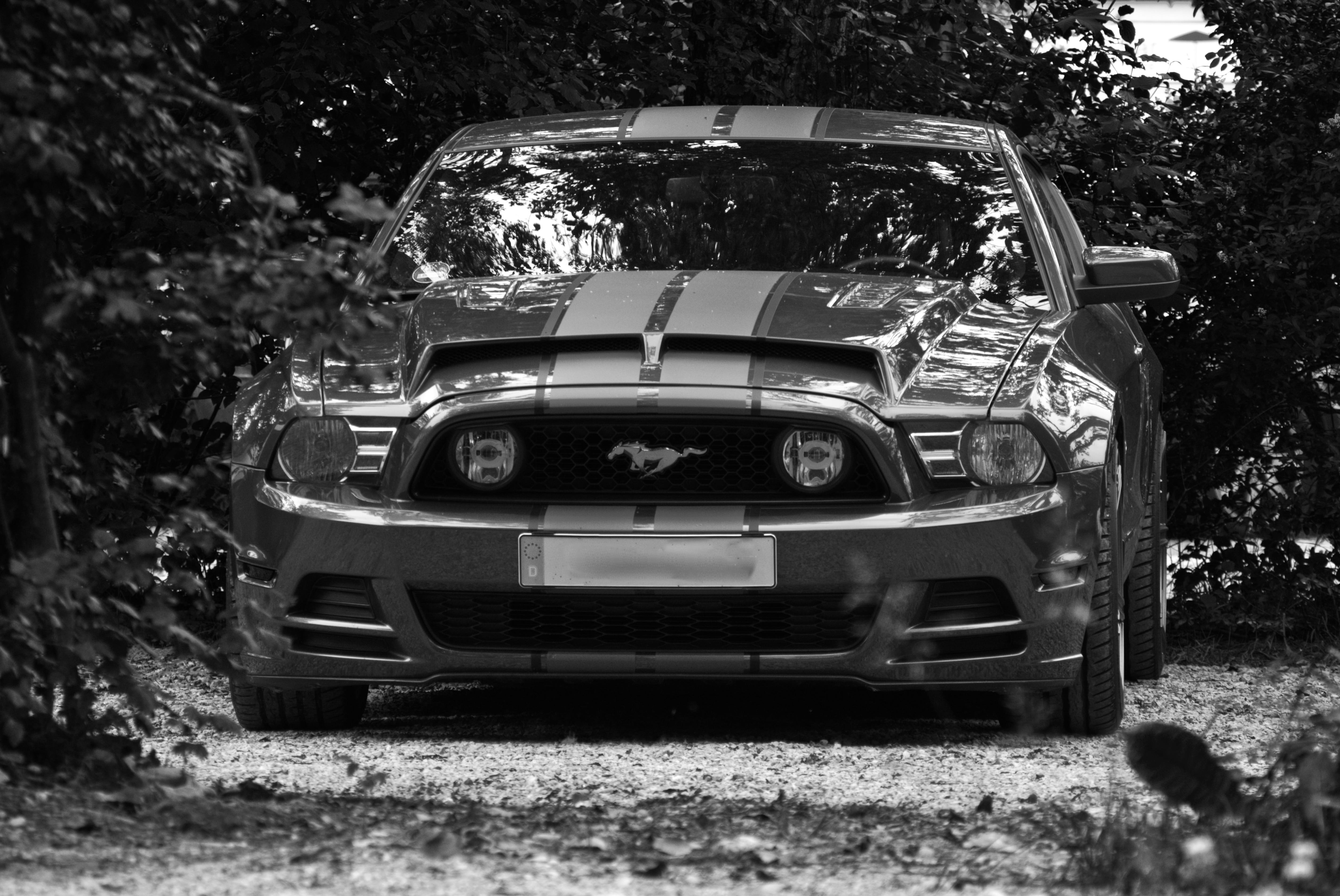 land vehicle, day, field, land, plant, motor vehicle, tree, front, ford mustang, obsolete, abandoned, damaged, pkw, auto, ford, car, no people, nature, HD Wallpaper