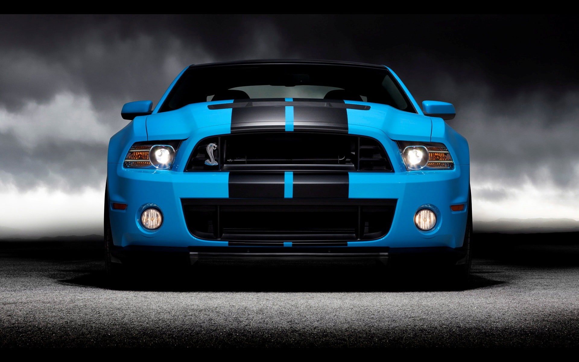 1080P, Shelby GT500, Shelby, HD Wallpaper